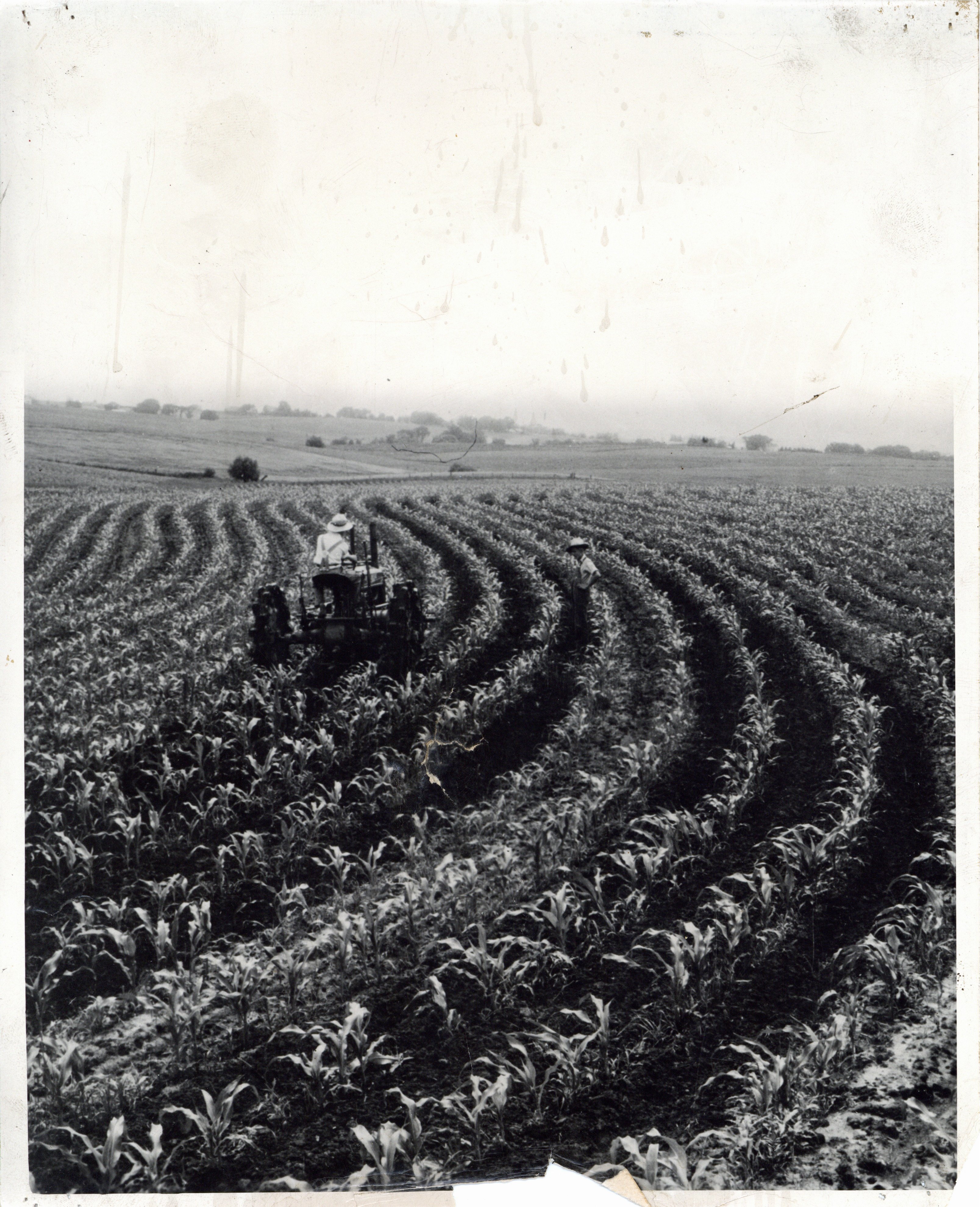 Contour farming