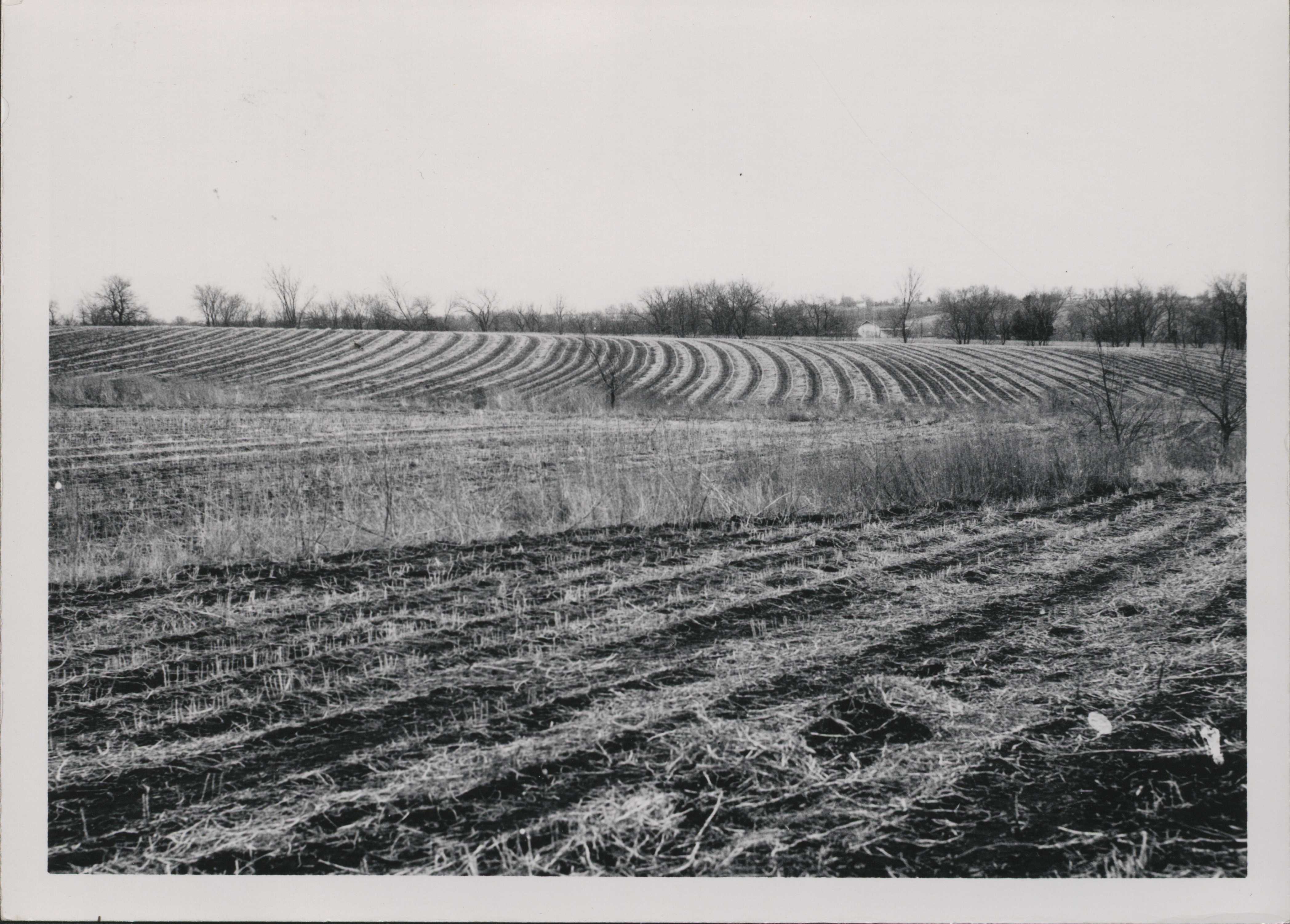 Contour farming and crop residues in reducing soil loss.