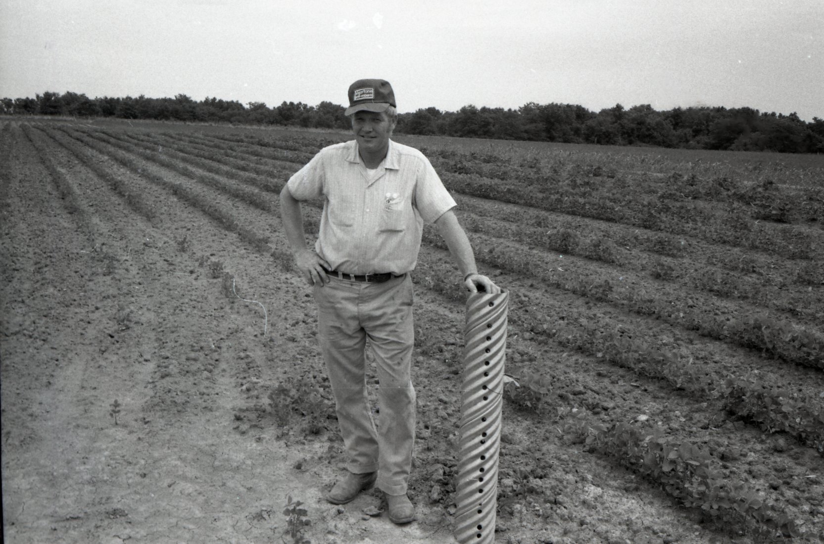 Photos of unidentified farmer standing in a field.