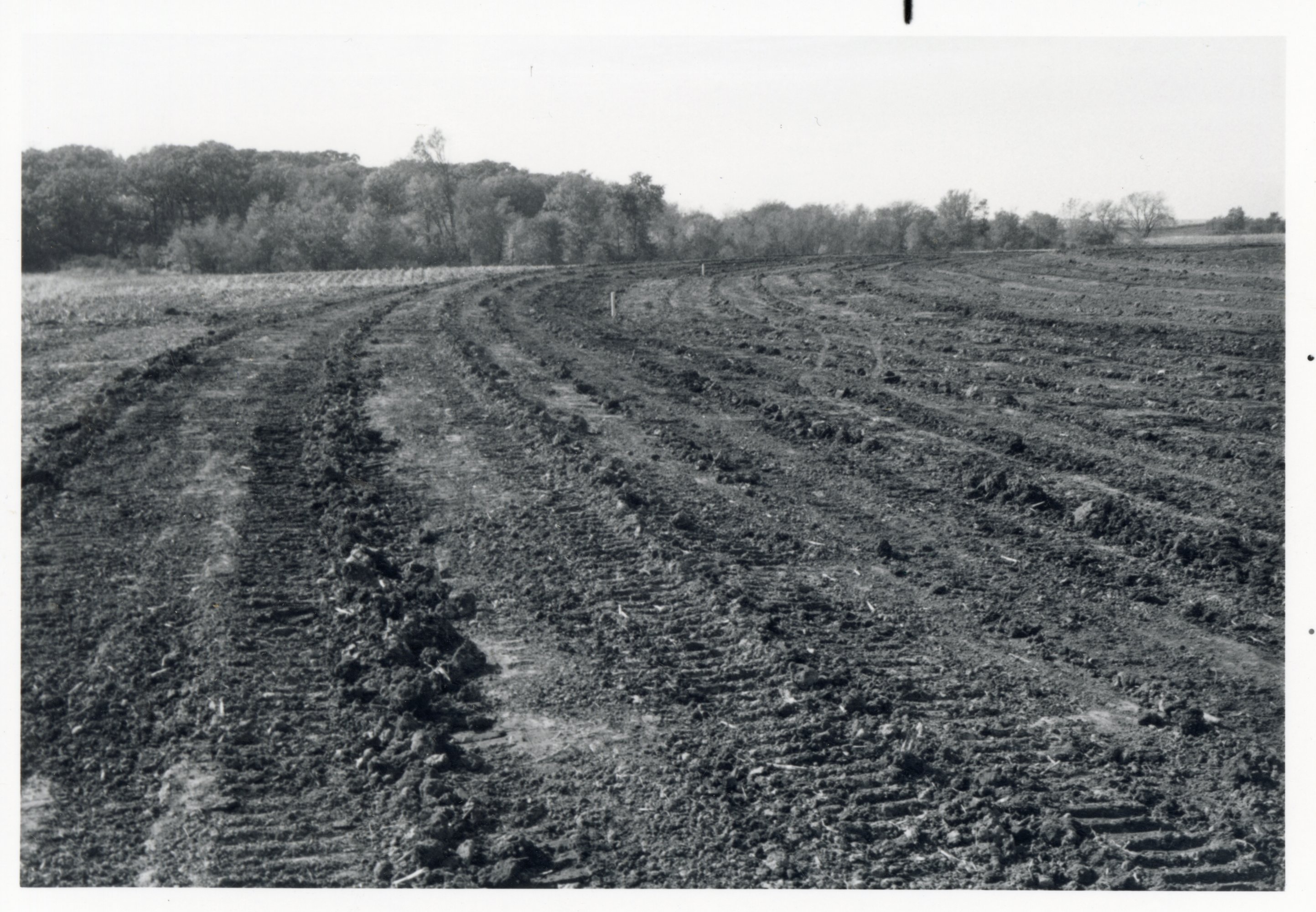 1977 Land being prepared for earth retaining dam and drainage system