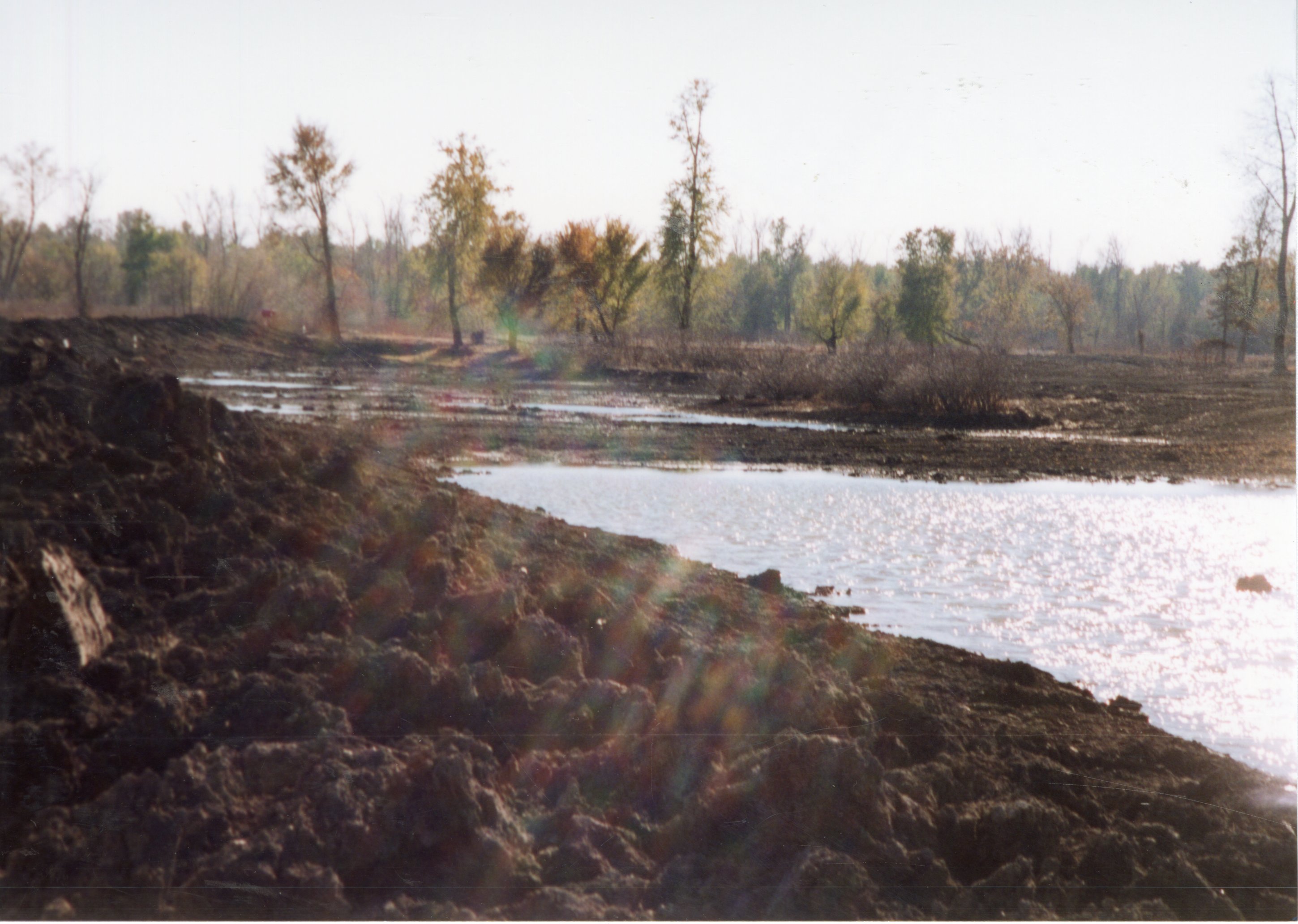 2002  Wetland Construction at Brockway LLLP