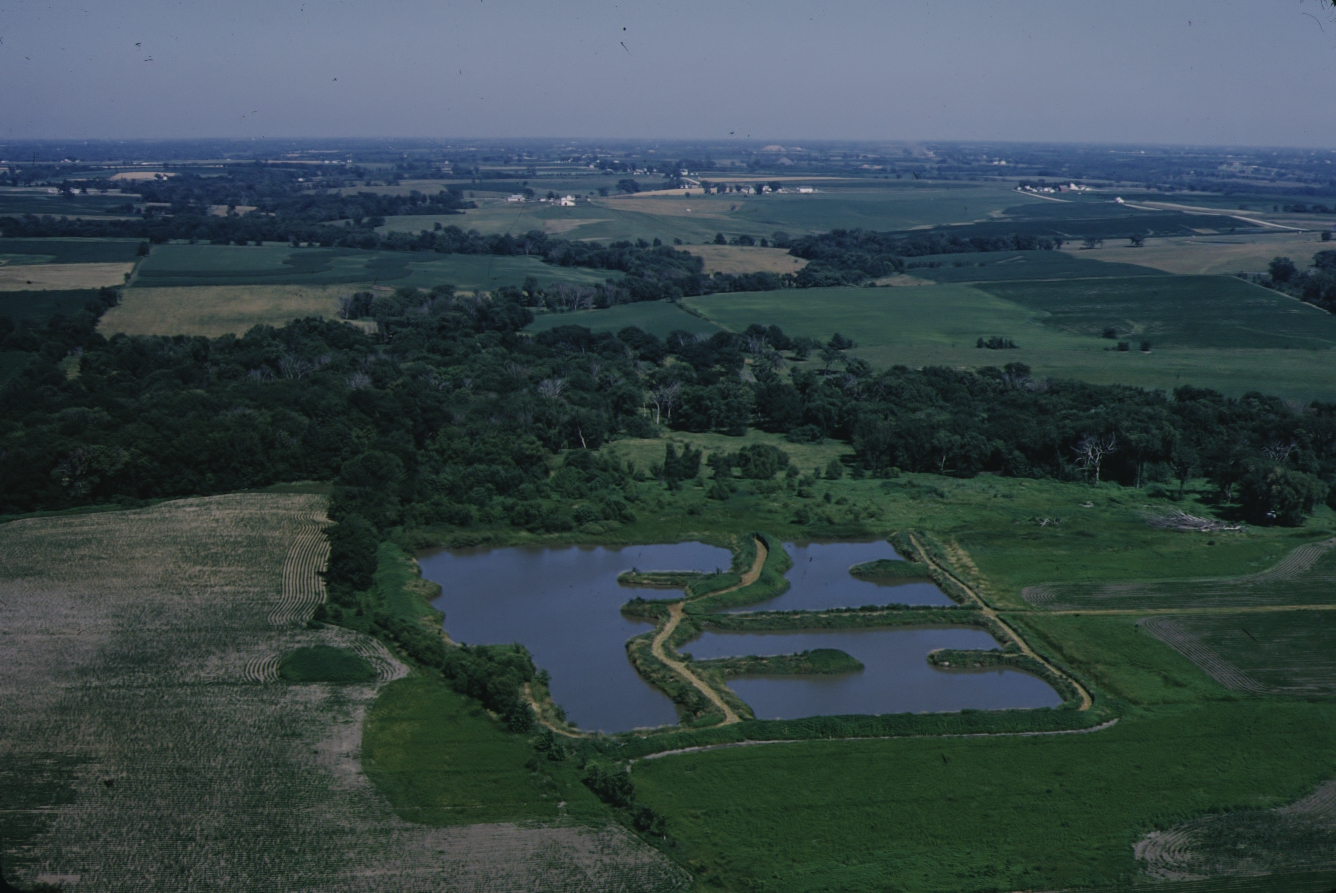 Douglas Township, Section 16.
