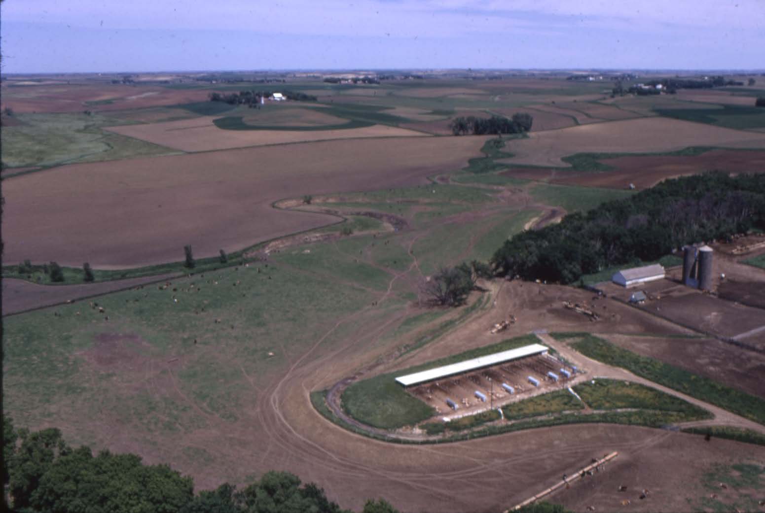 Eldridge Drury feedlot 