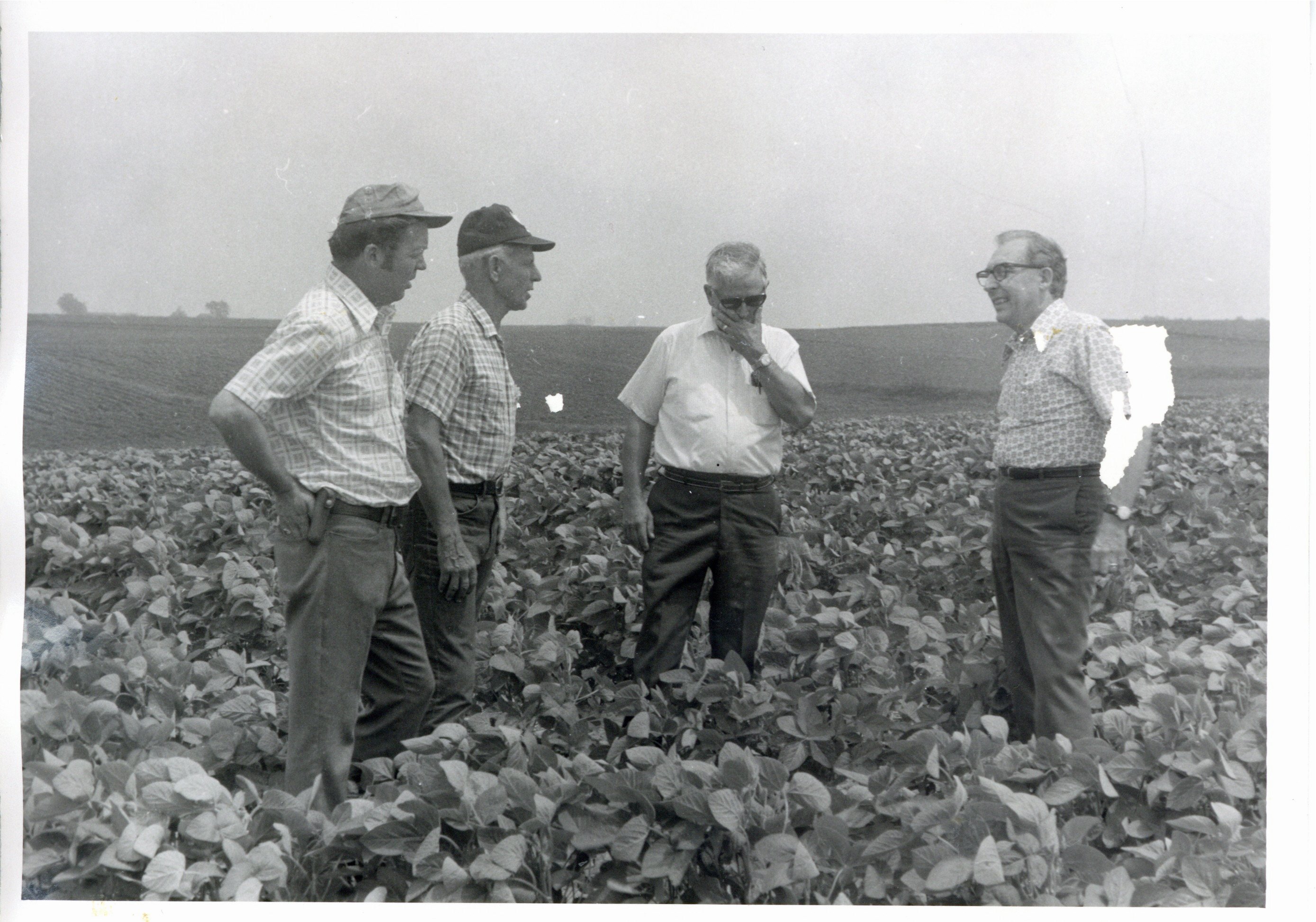 Harold Buckley in field with three unidentified men 
