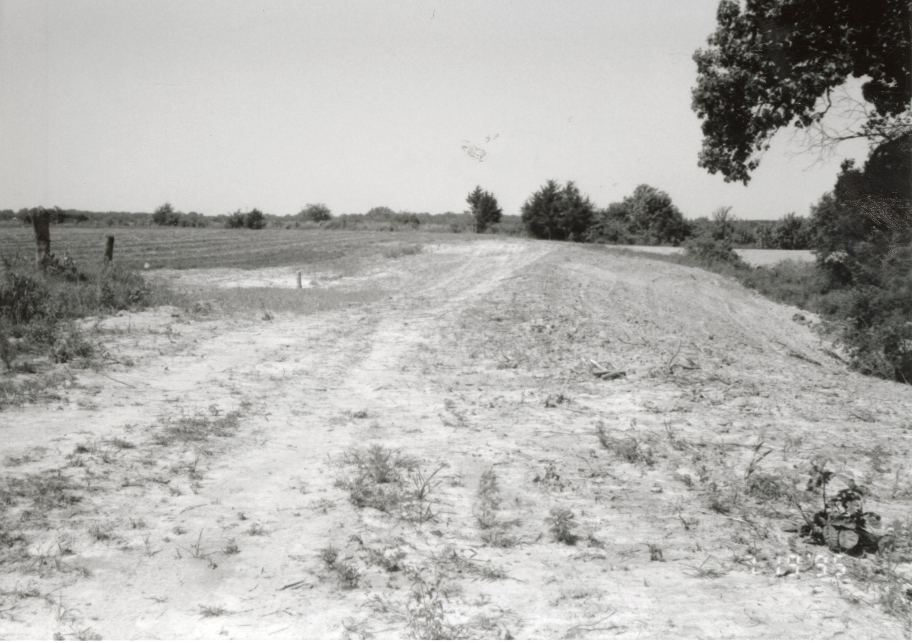 1995 Terraces Being Built on Dale Edmonds Farm
