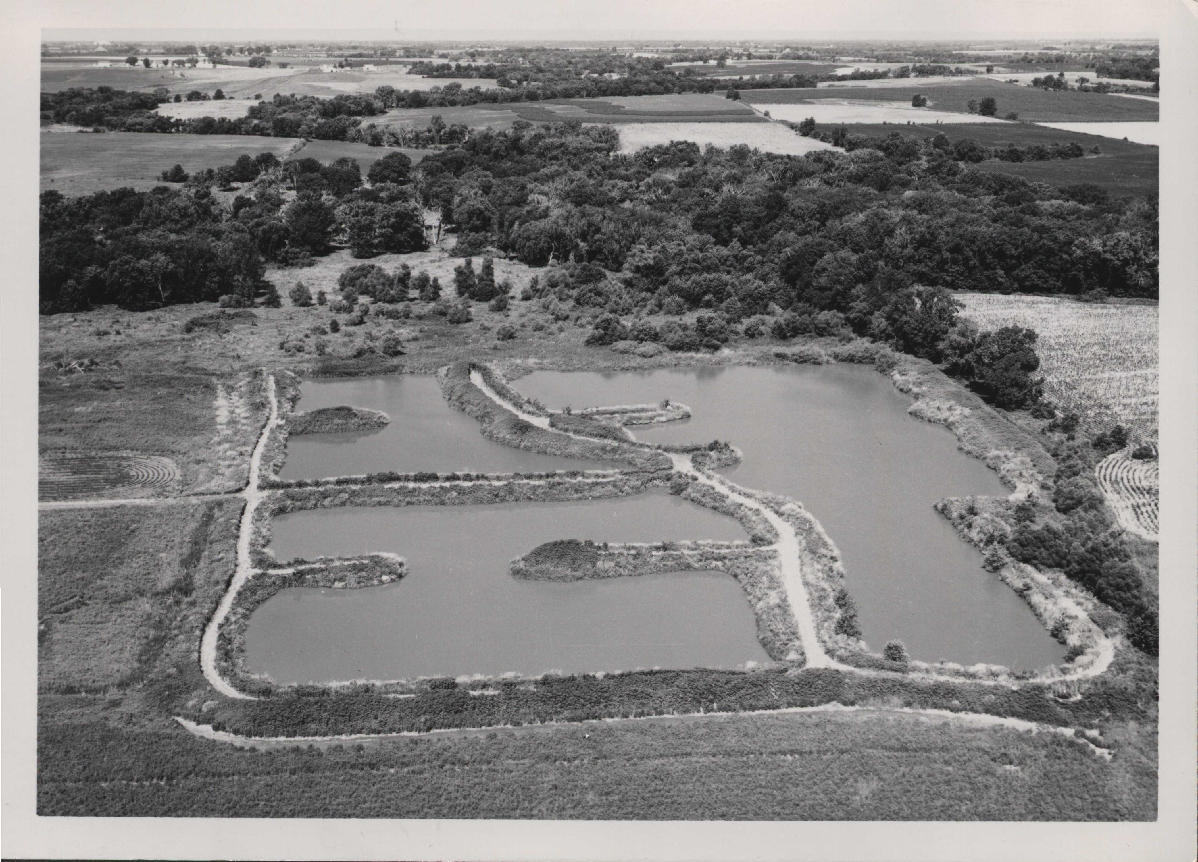 Duck hunting area, 1965