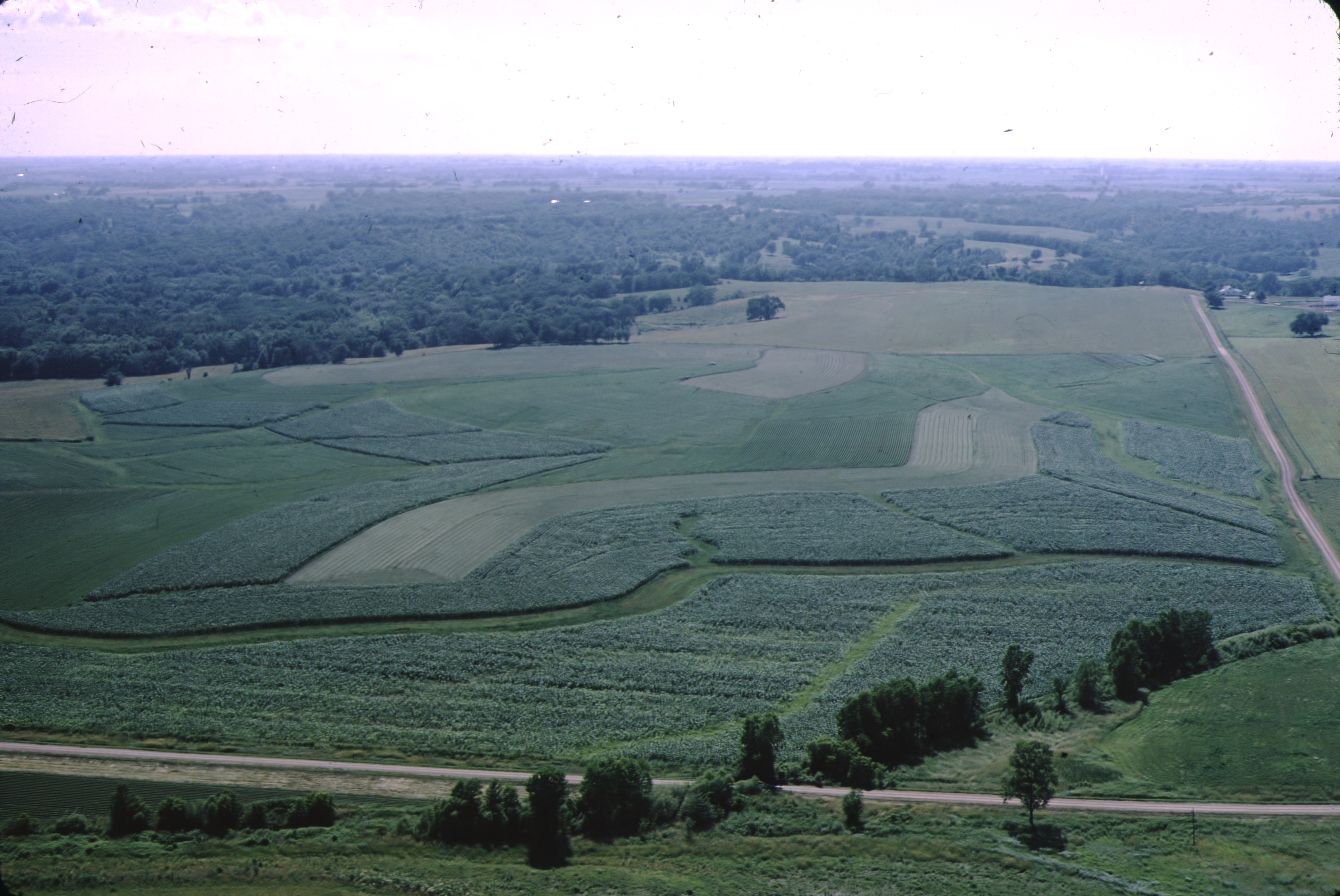 Douglas Township, Section 8 & 9.