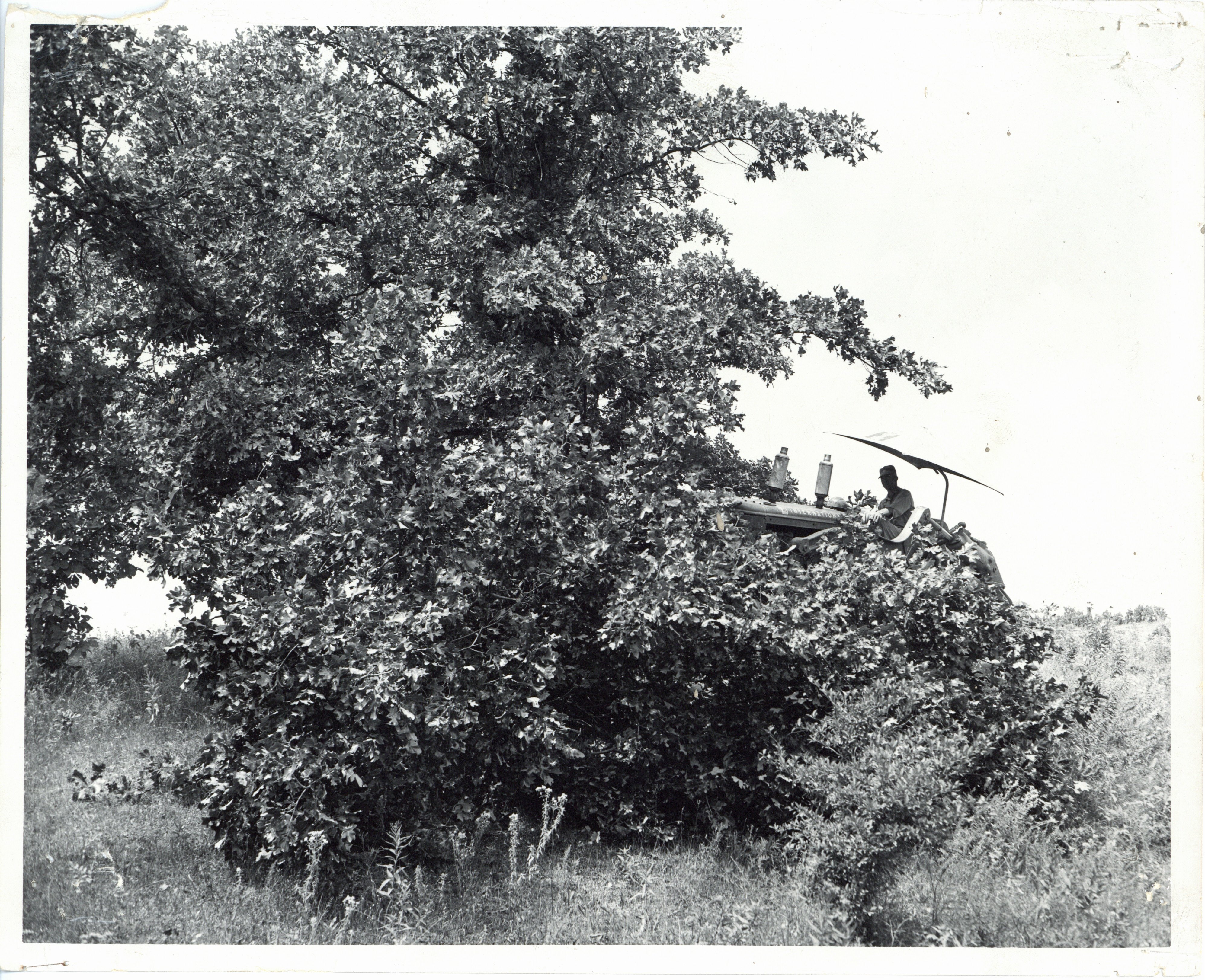 Unidentified man in tractor 