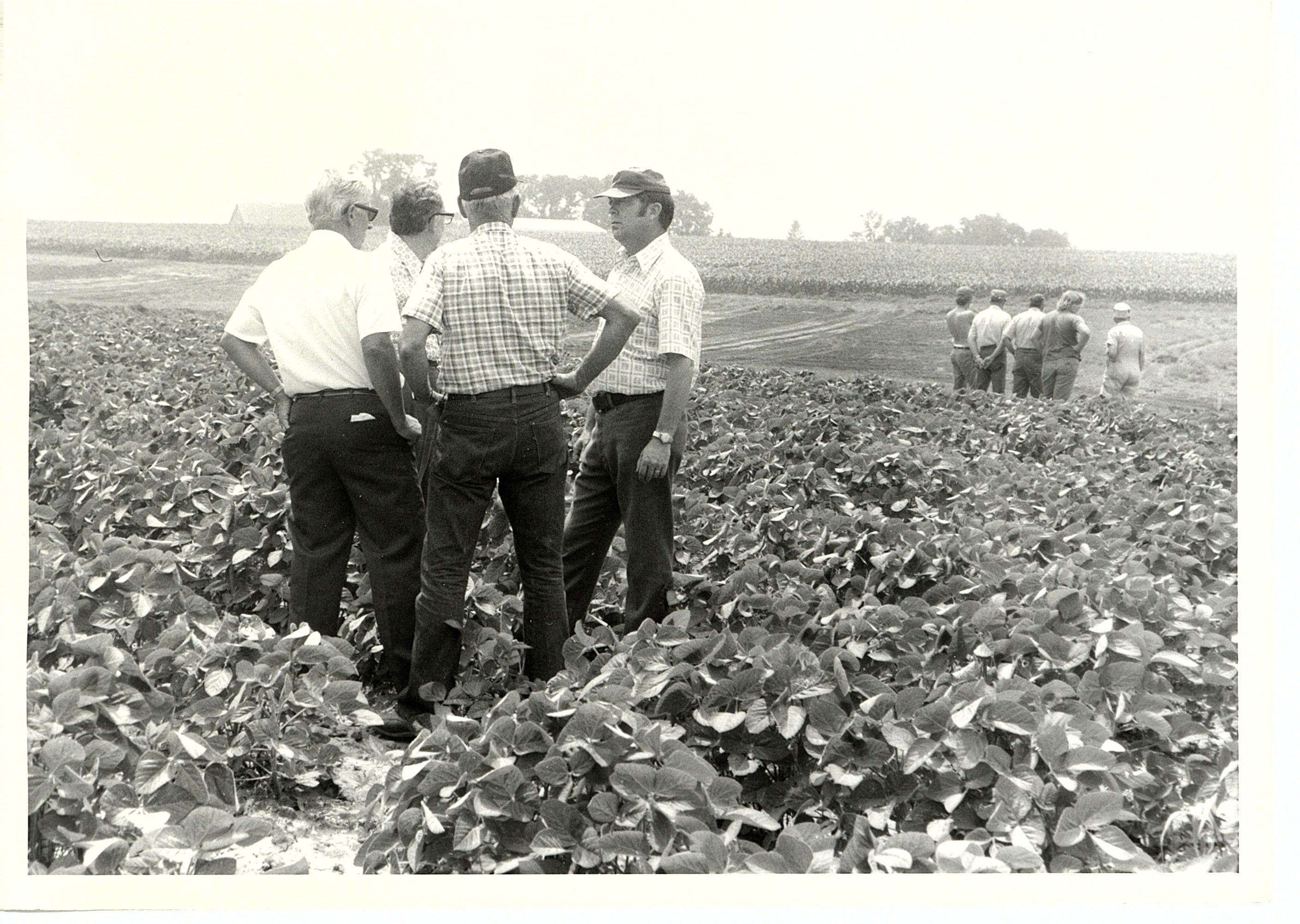 Harold Beichley farmland