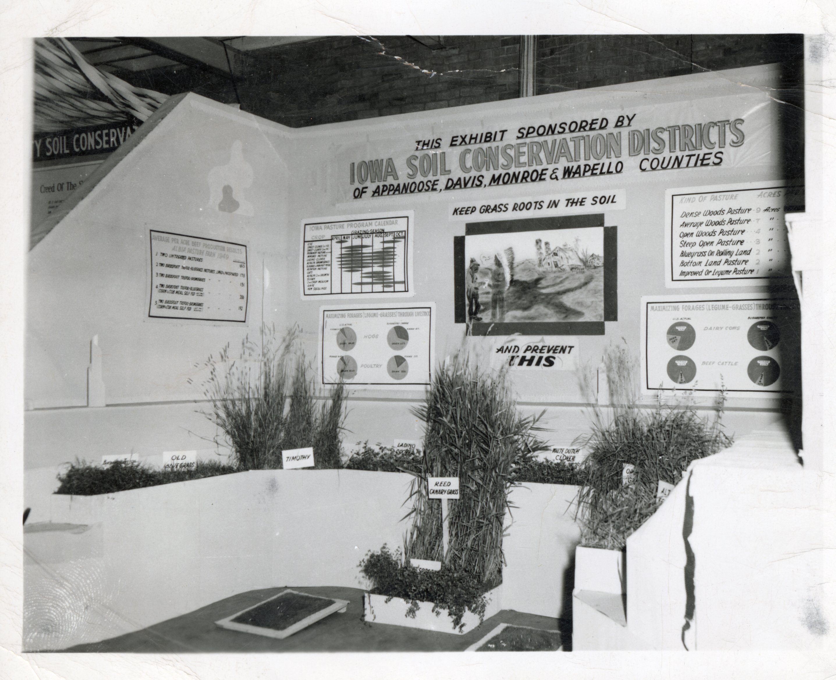 Grass Roots Exhibit