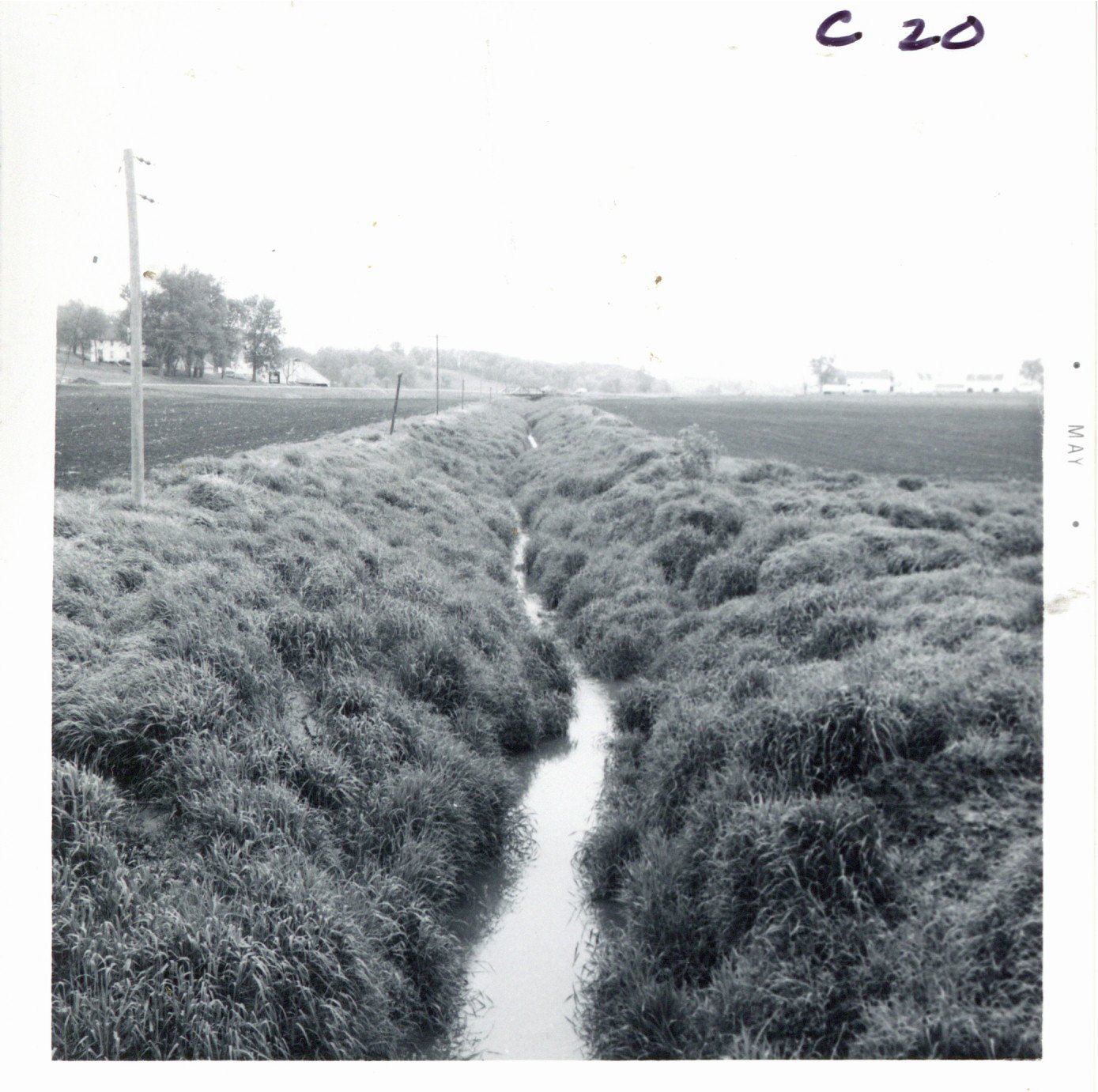 Cut creek channel embankment stabilized with Reeds canary grass on Stuart Wilson farm, 1969