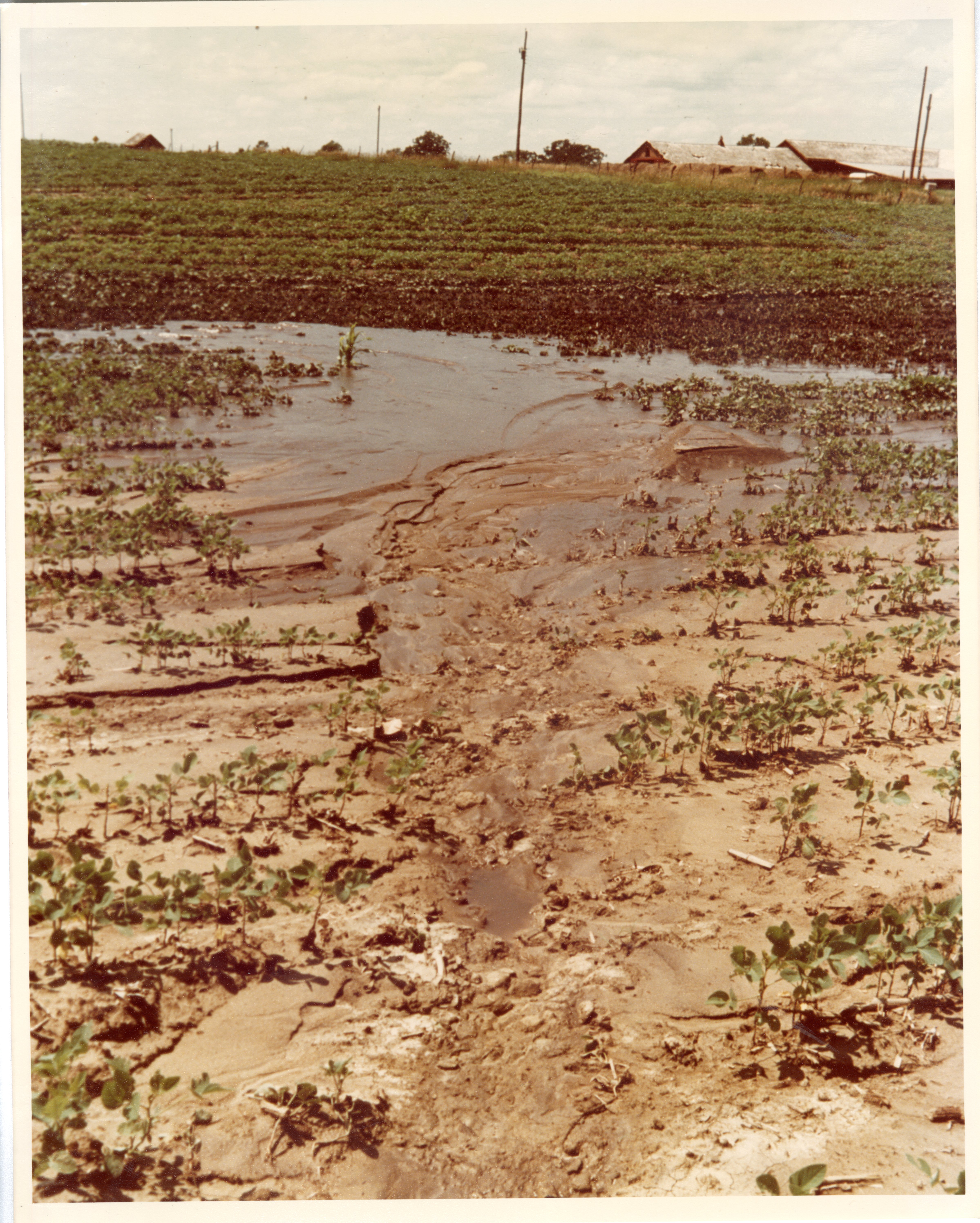 1970s? Flooded fields