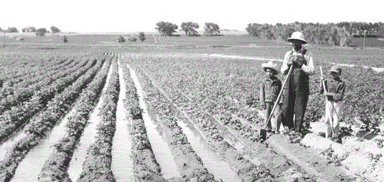 Early Farmers_Exhibit 