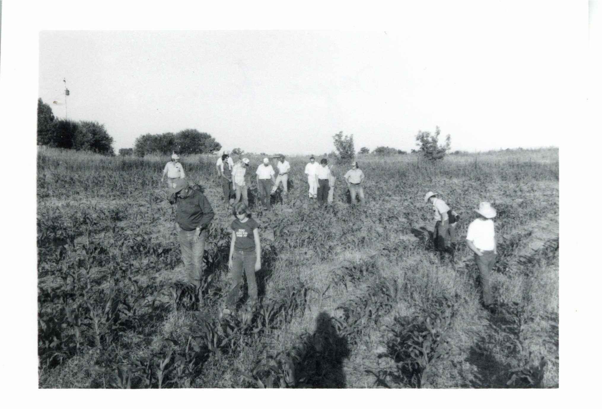 No-till tour on Willard Dague farm
