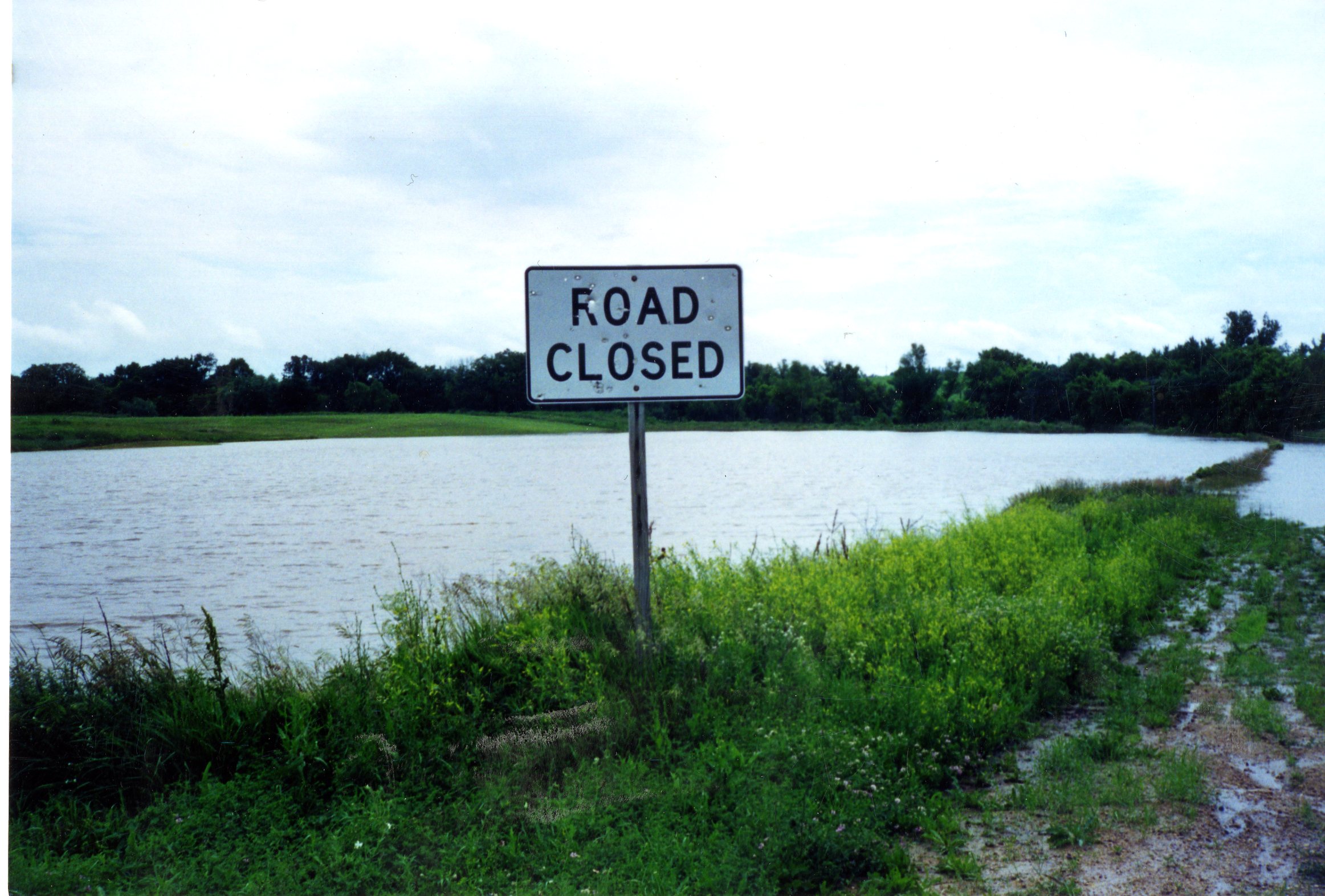 Glenn Berner's wetland site, 2000