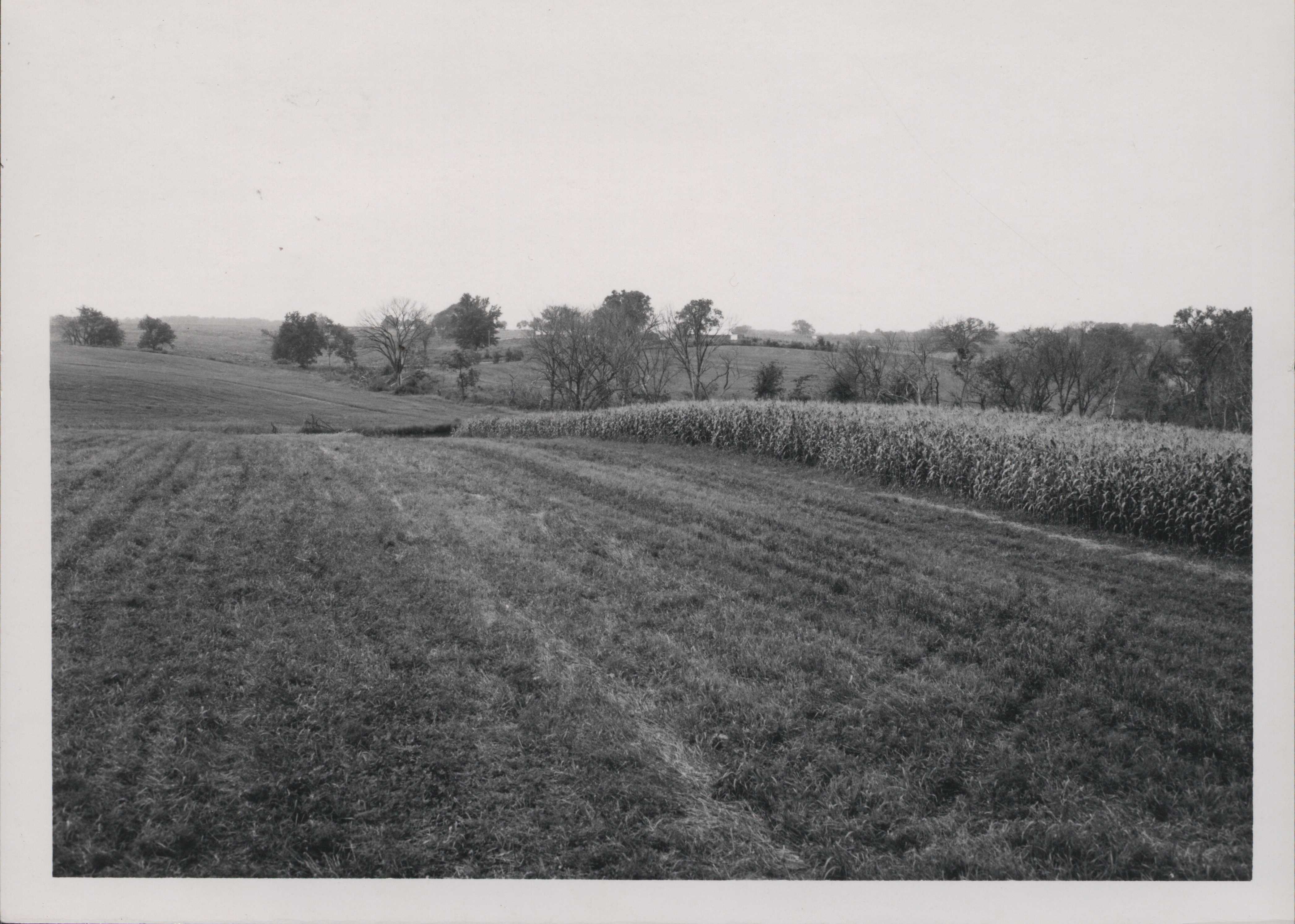 Landscape of Kniffin and Associated soils.