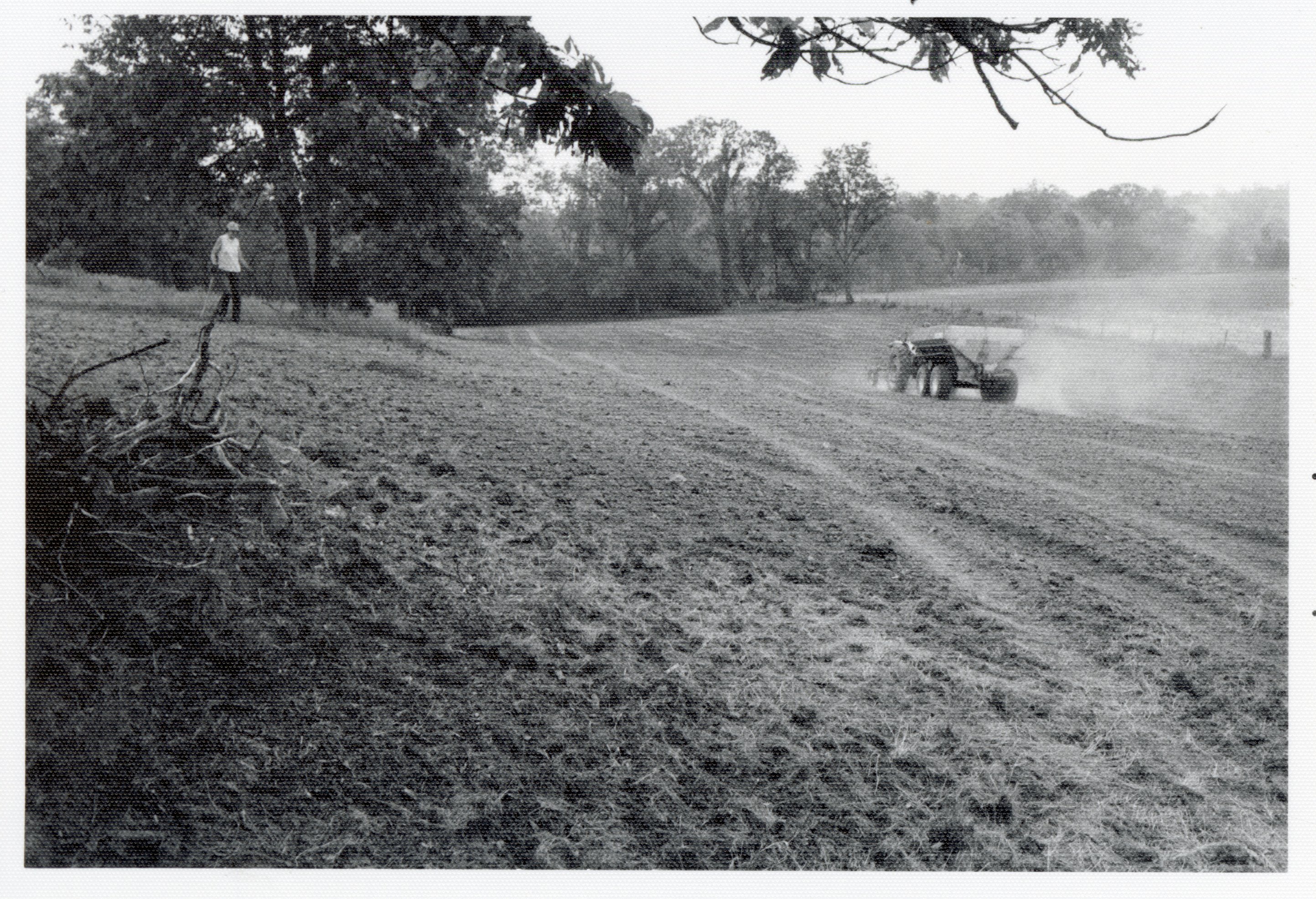 1978 Theresa Beckman walks toward tractor and wagon planting seed