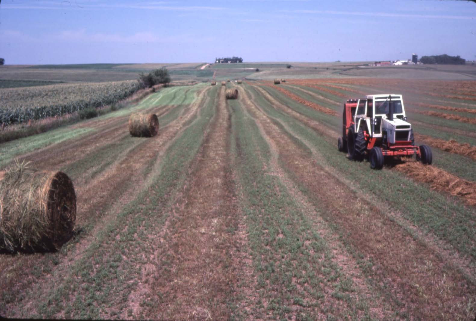 Bailing hay 
