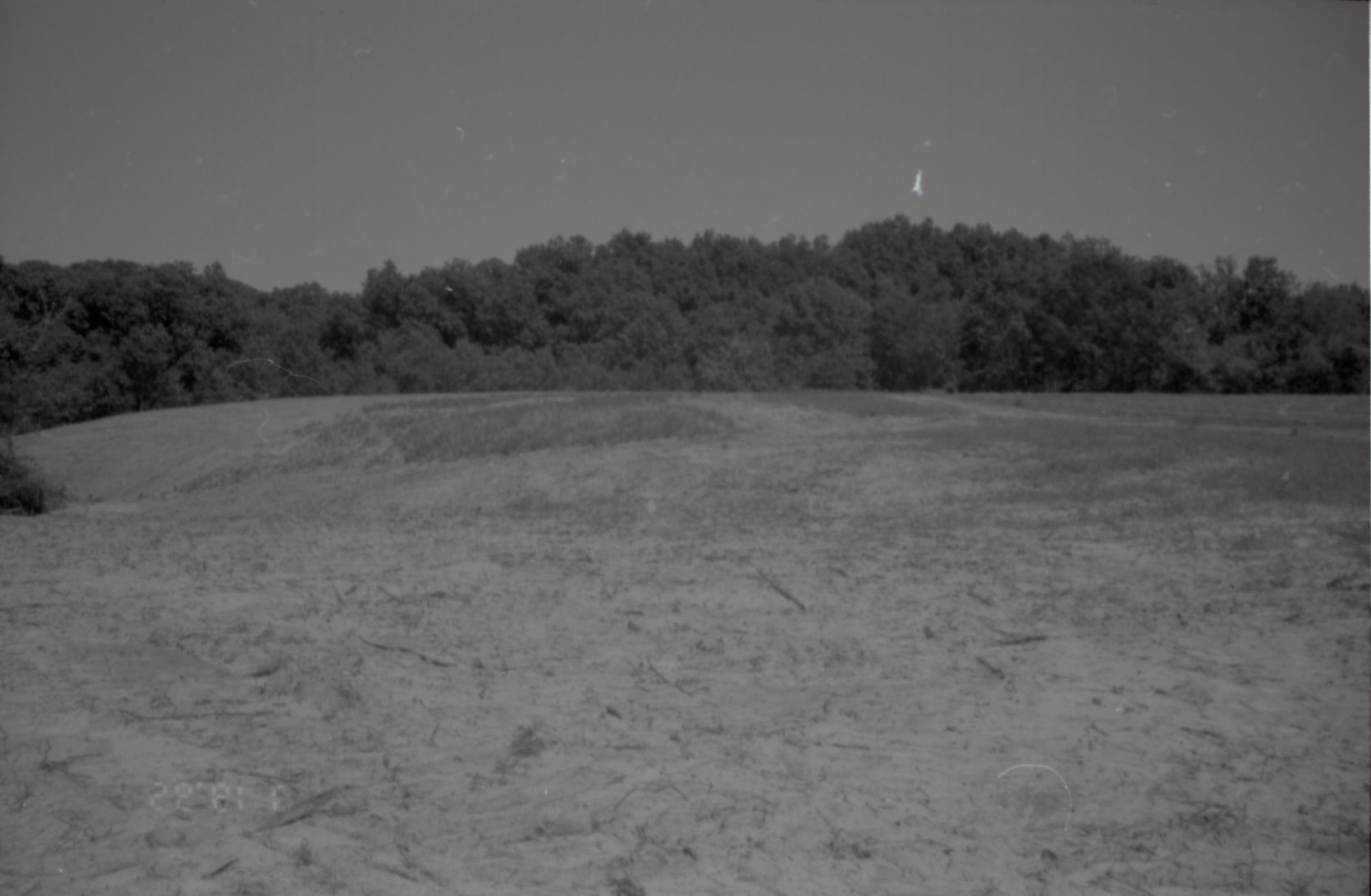 Grassy fields near trees<br />
