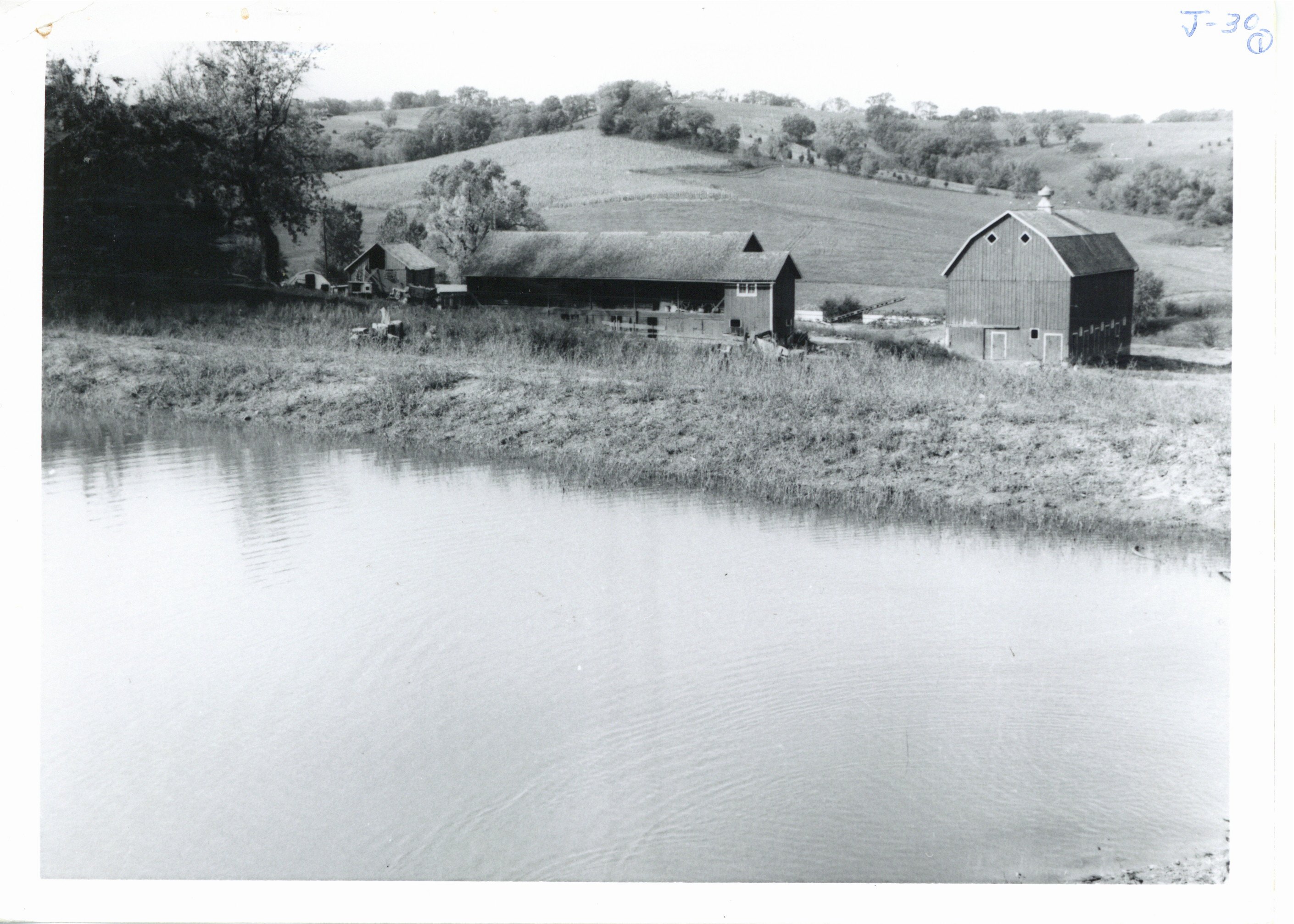 Milton Kettman's spring fed pond, 1965