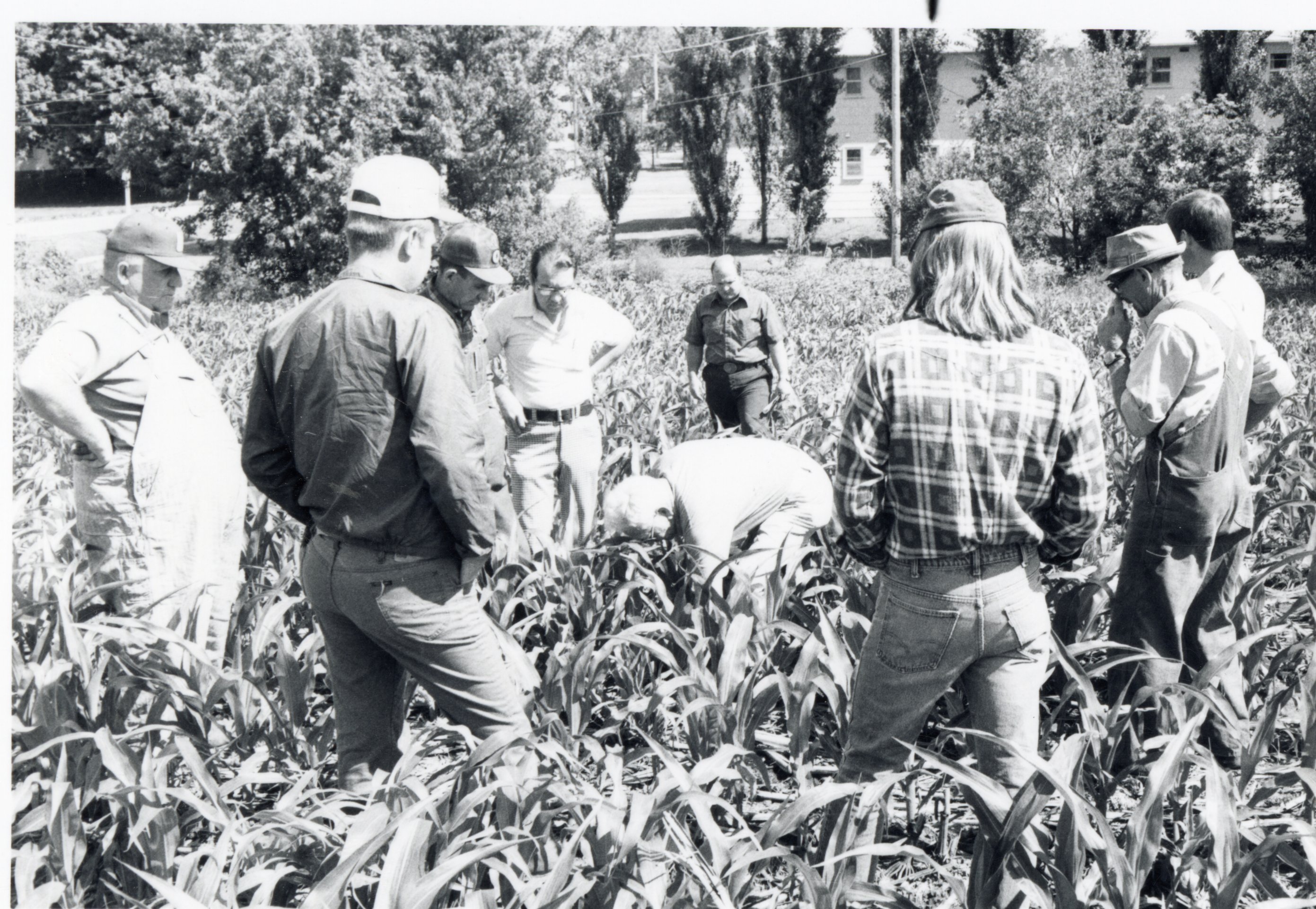 1978 Group in No-till corn tour