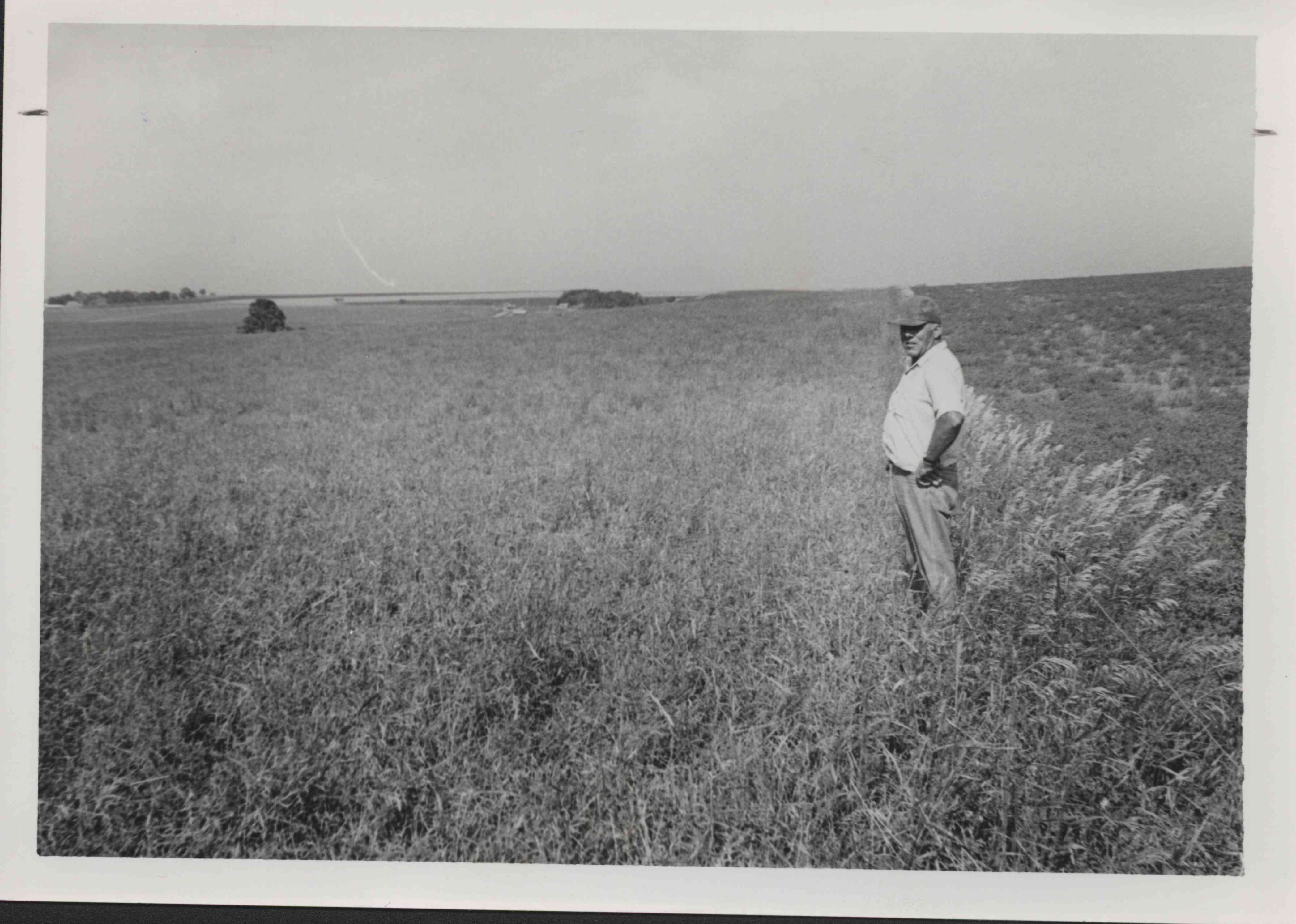 Unidentified man in hat with hands on hip looking at pasture