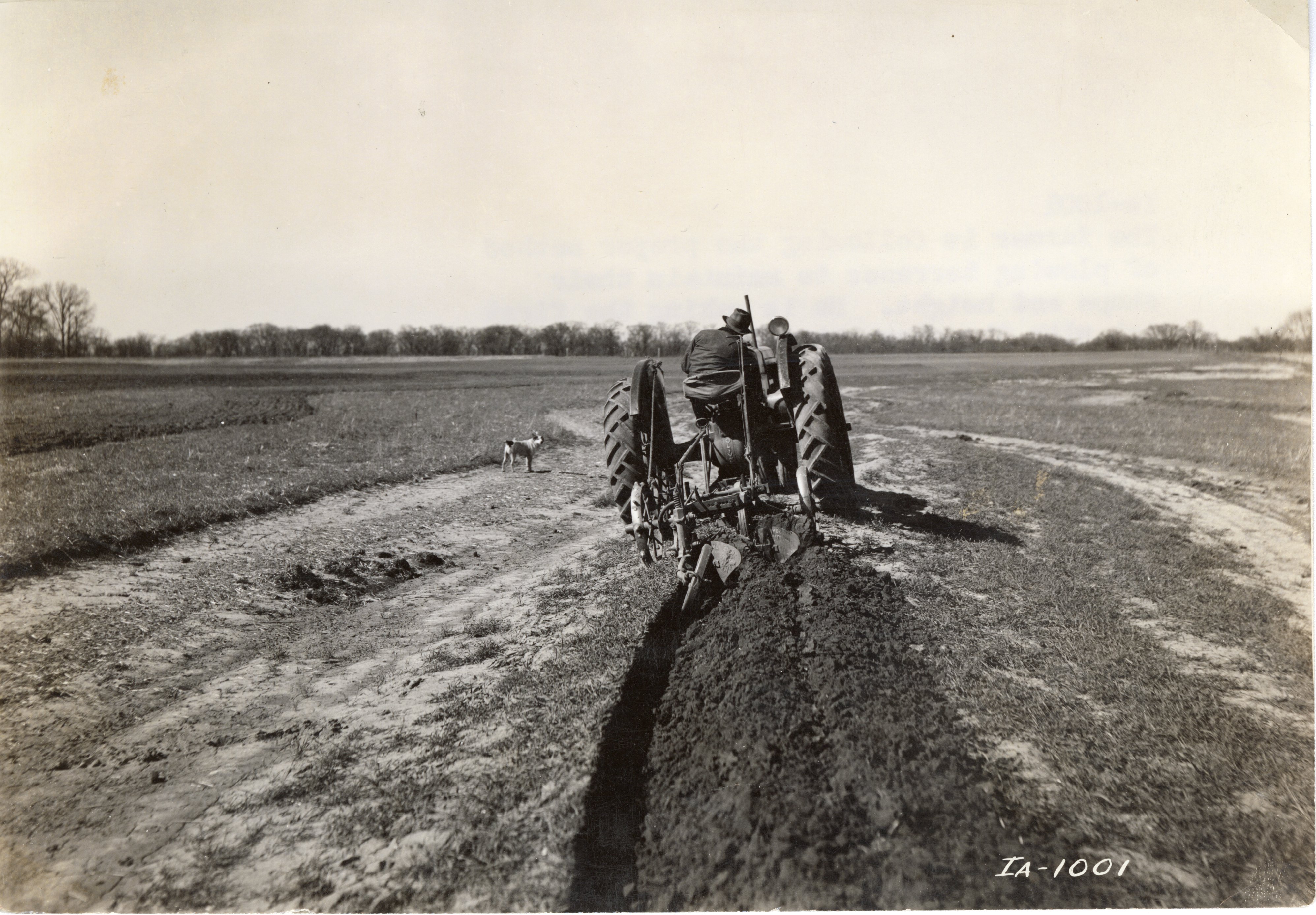 Plowing Terraces