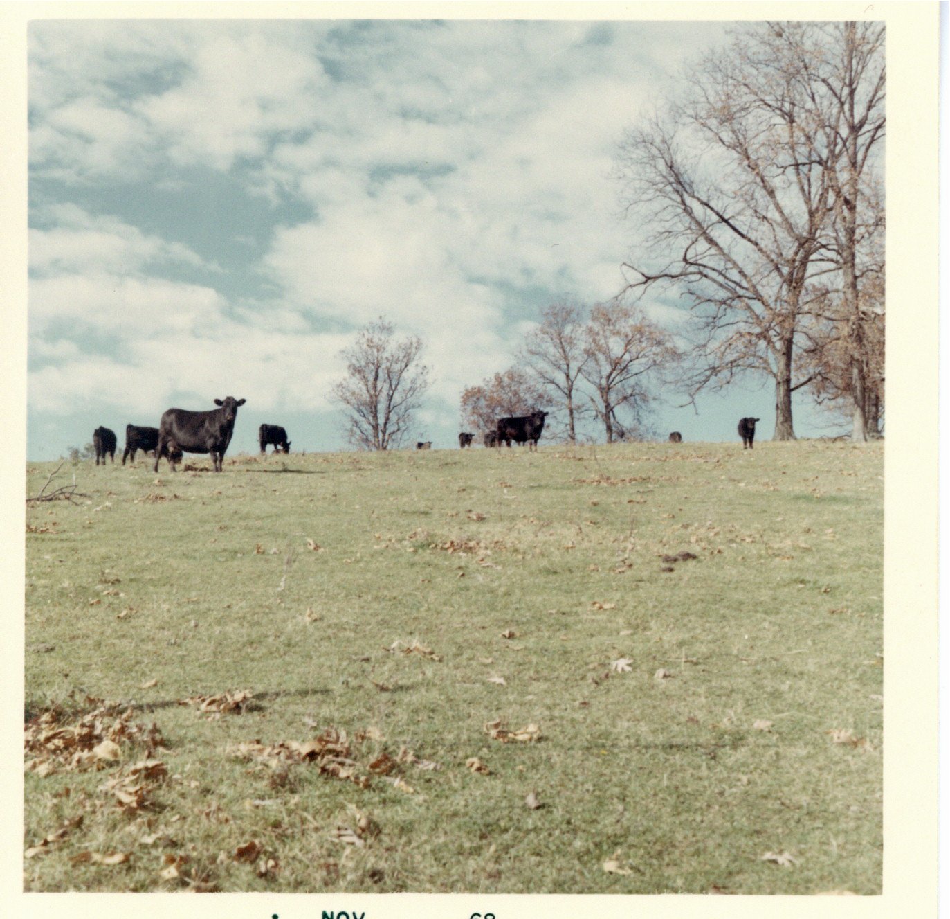 Gerlach pasture in November, 1968