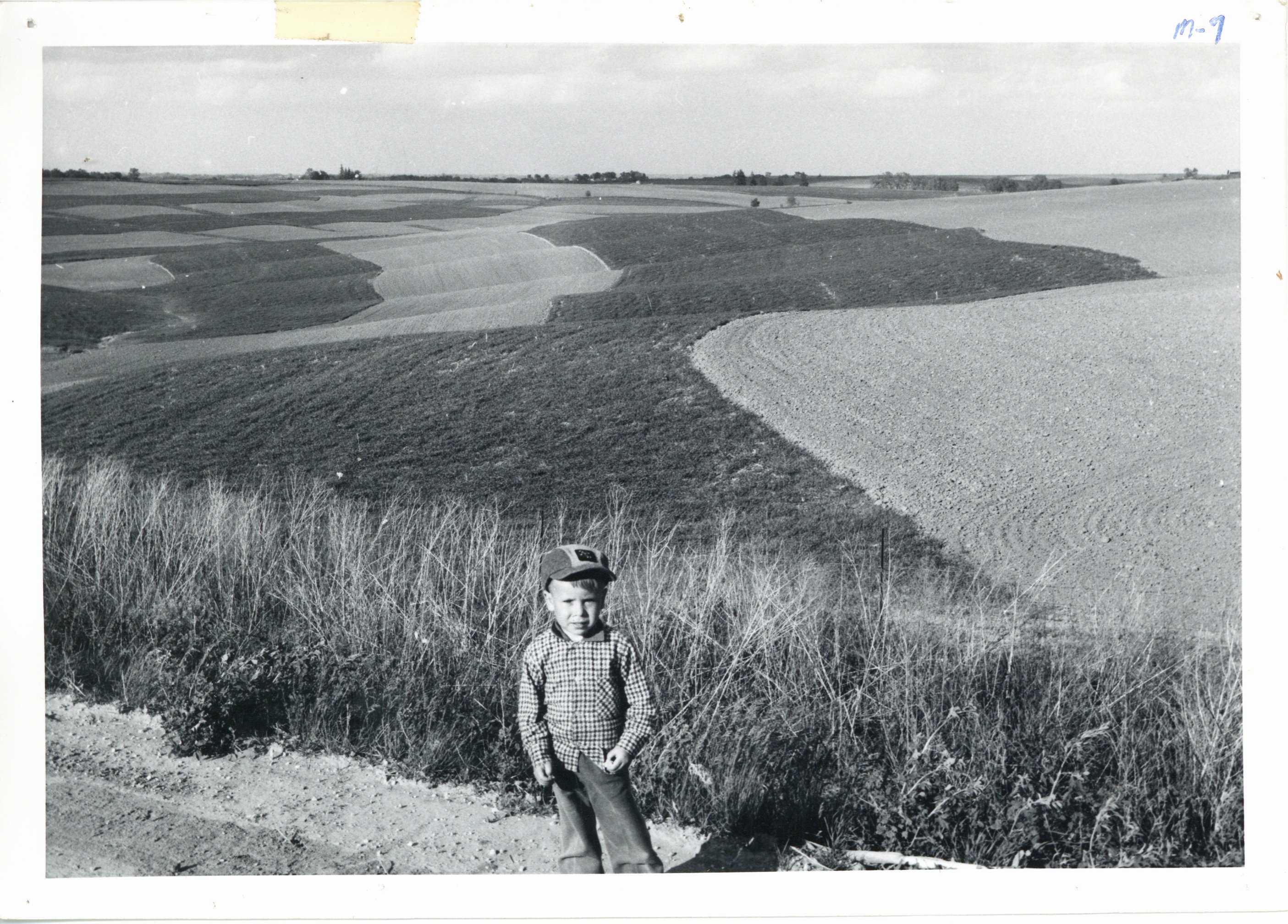 Little boy standing on edge of road with Paul Hansen's strip cropping in background, 1962