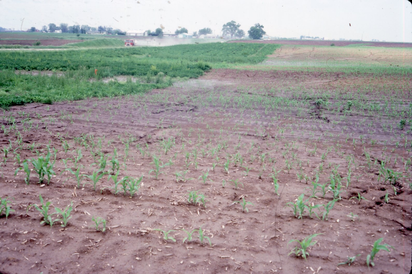 1986 Water in Fields