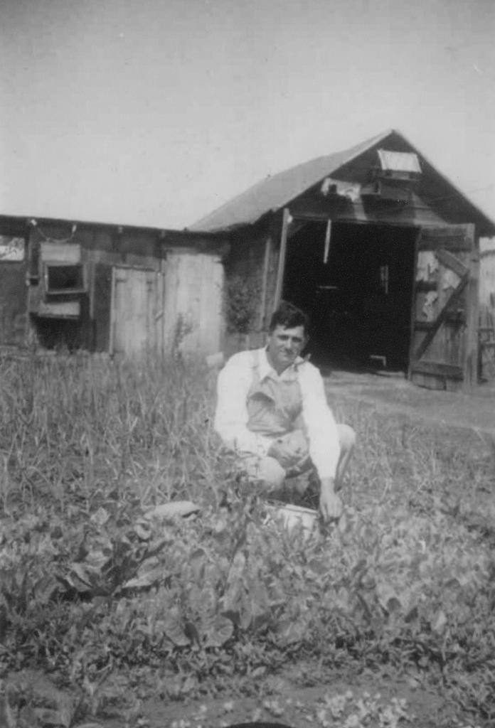 Pete Andreini By Shuler Mining Camp Garden