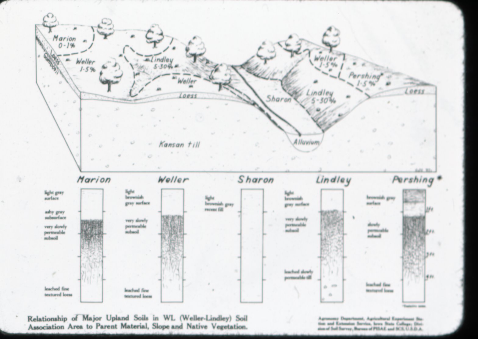 Upland Soil Chart
