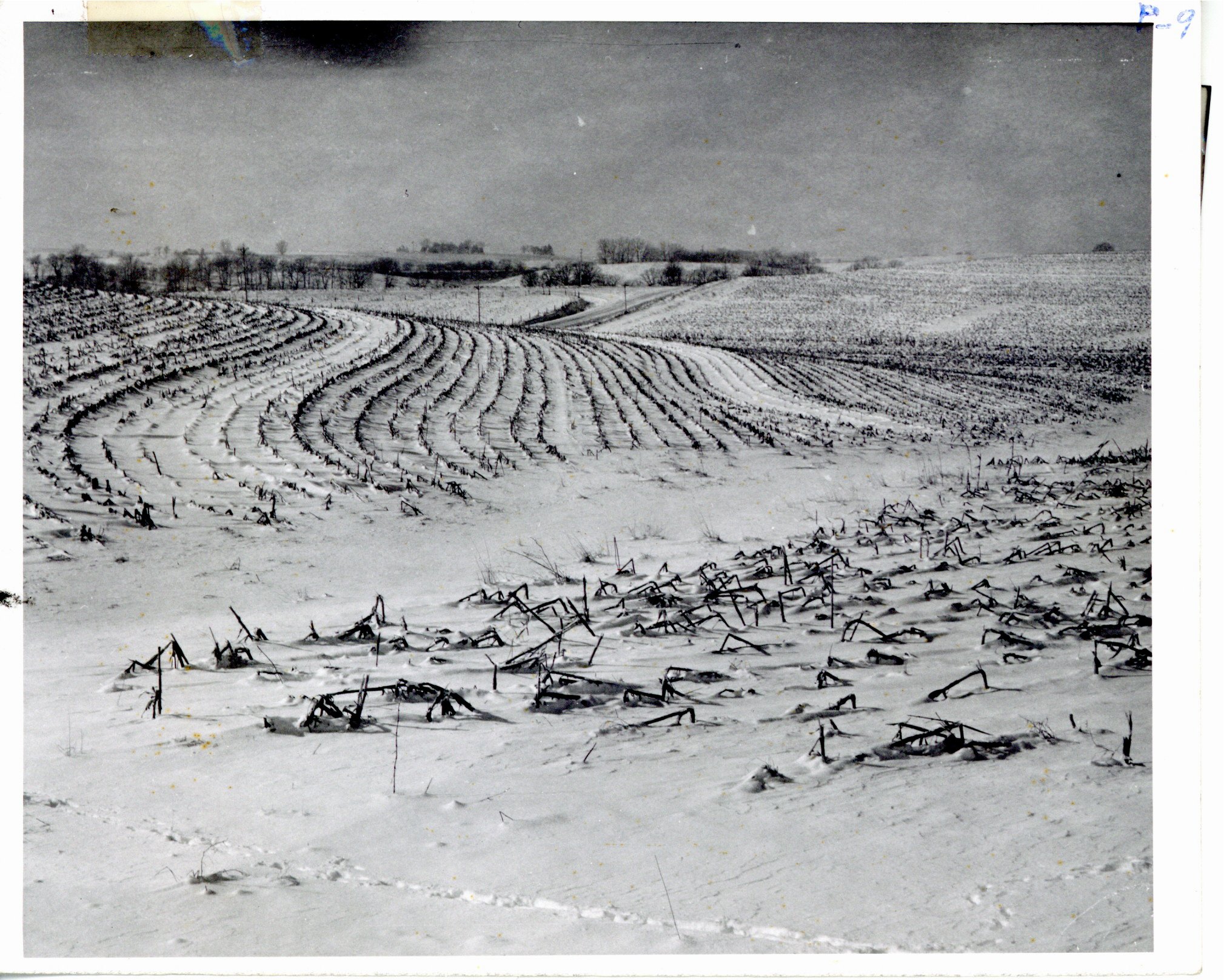 Wilson Bros. land in winter