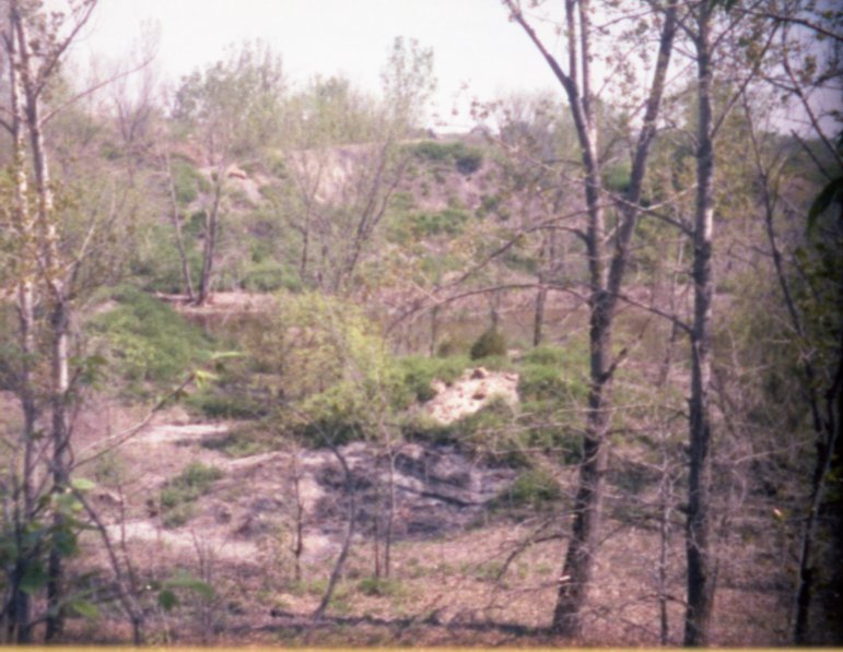 Unidentified Area with Trees