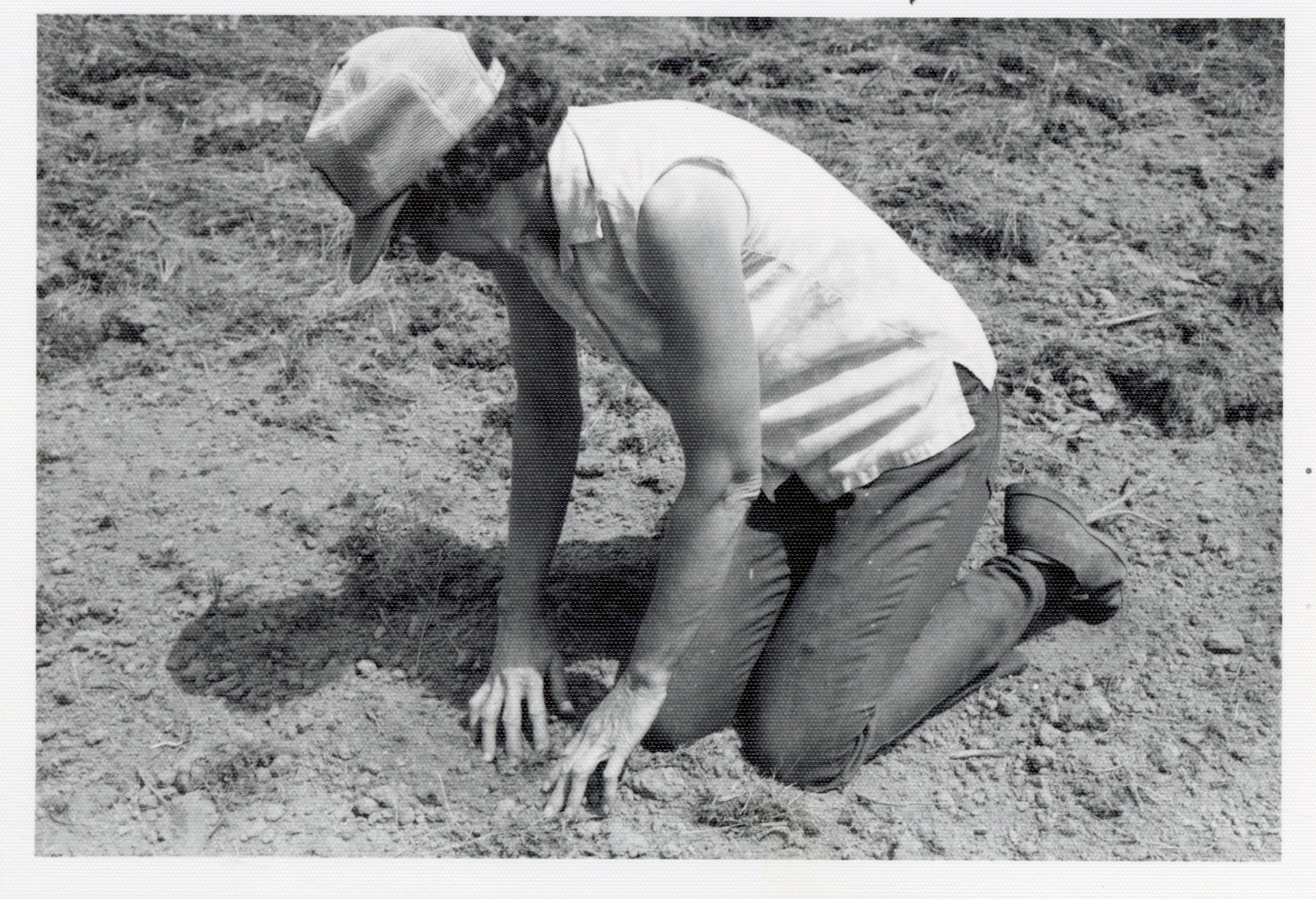 1978 Theresa Beckman plants bluestem pasture grass