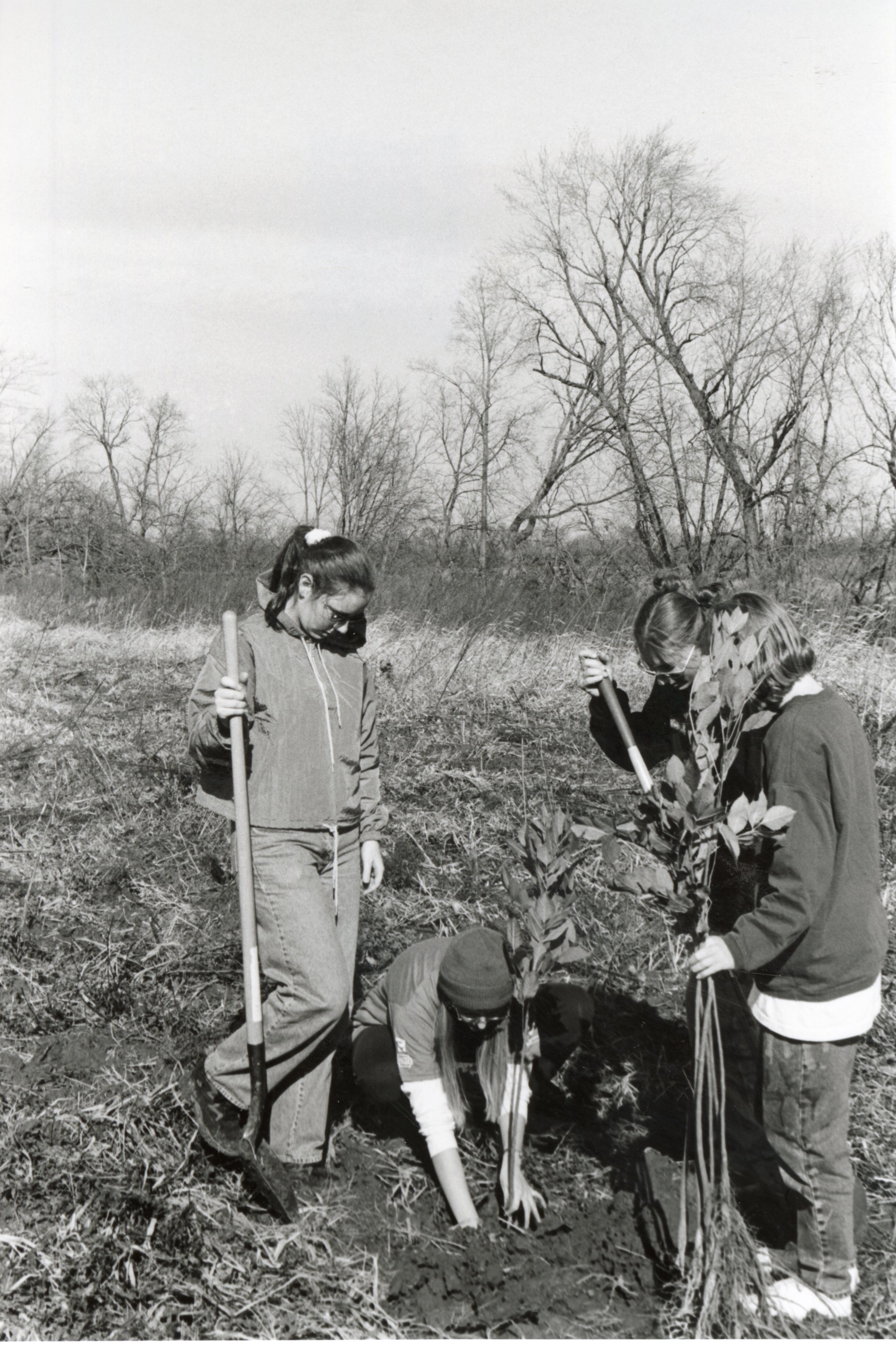 1999  Burlington High School Students plant trees
