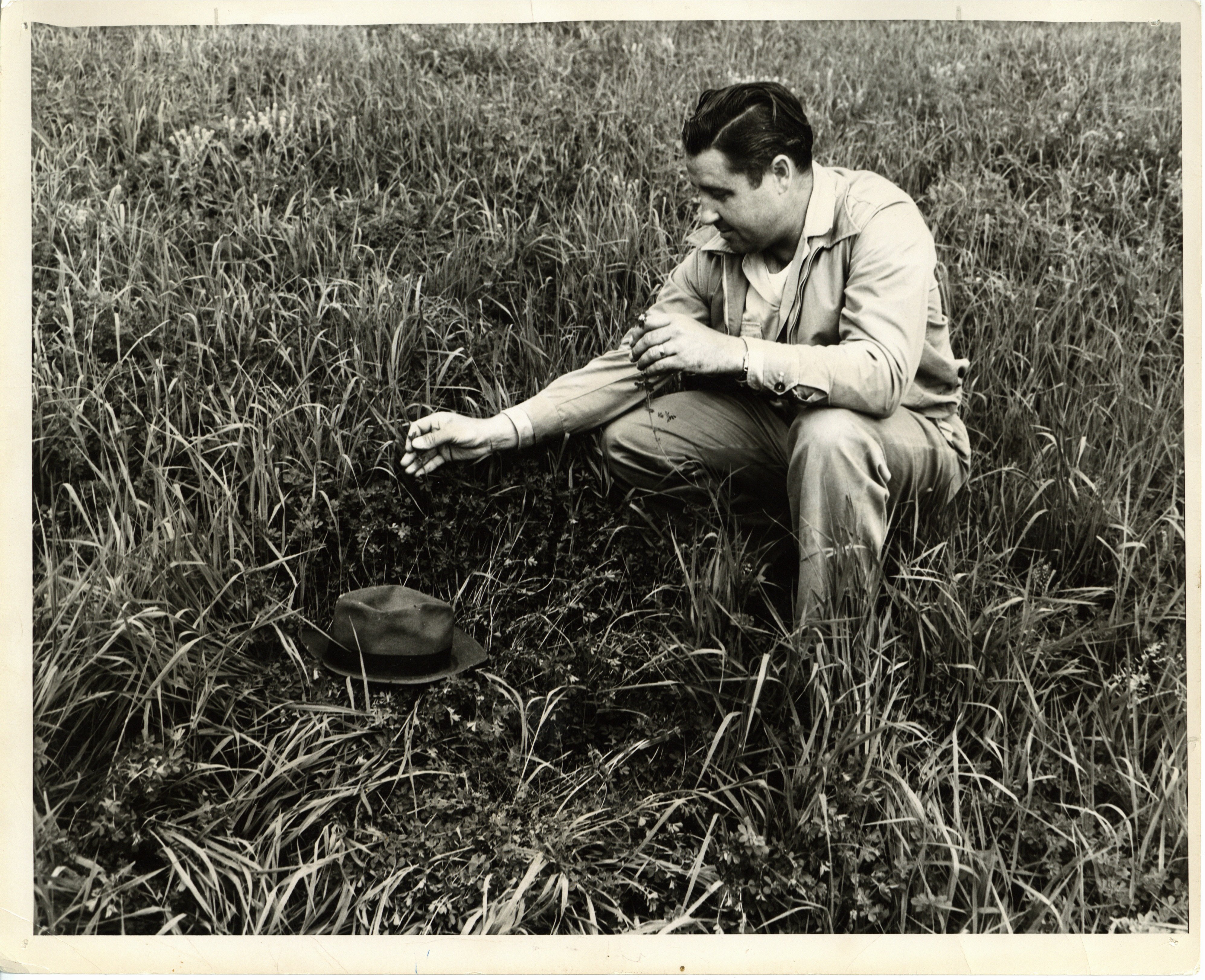 Unidentified man kneeling in grassy field