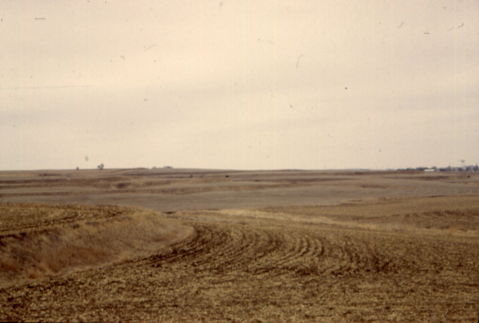 Farmland after harvest