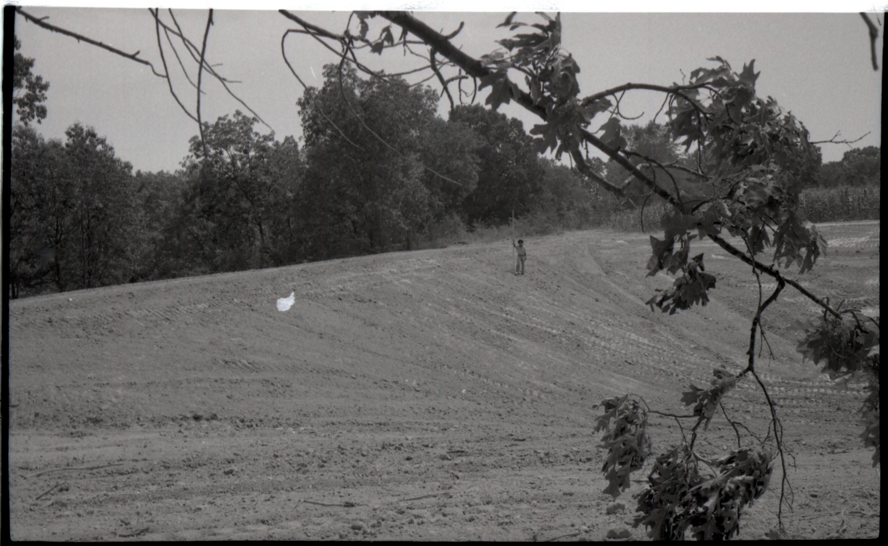 1970s Conservationist Winston Cooper in Field