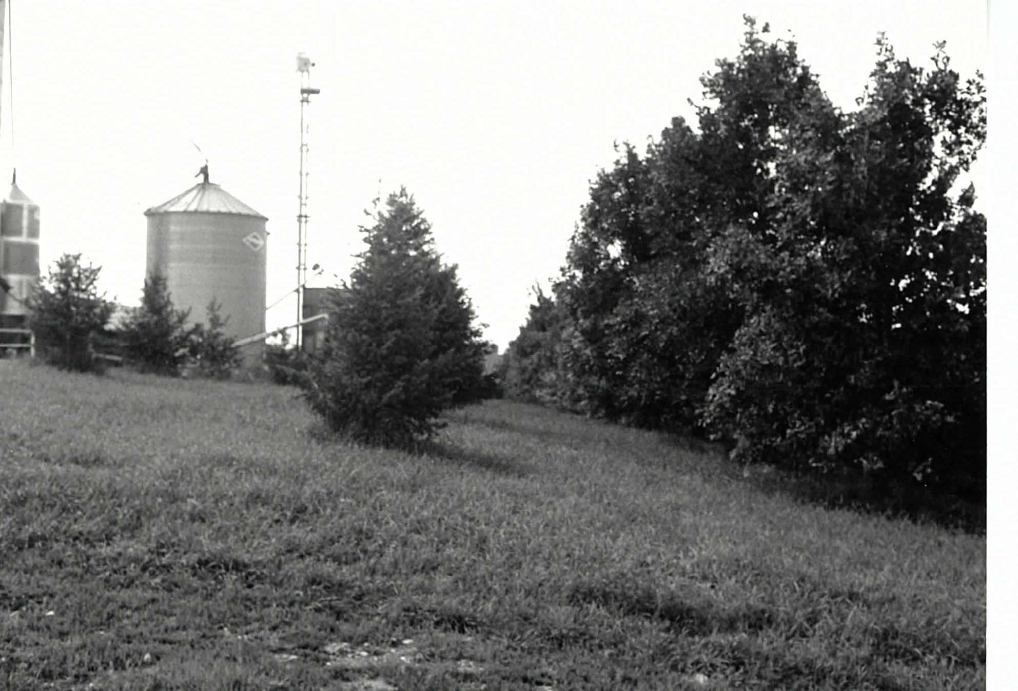Silo and trees
