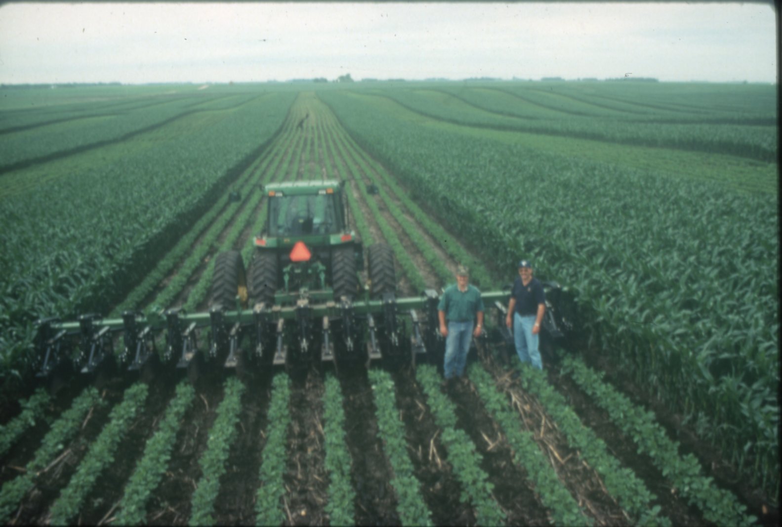 Beans and corn