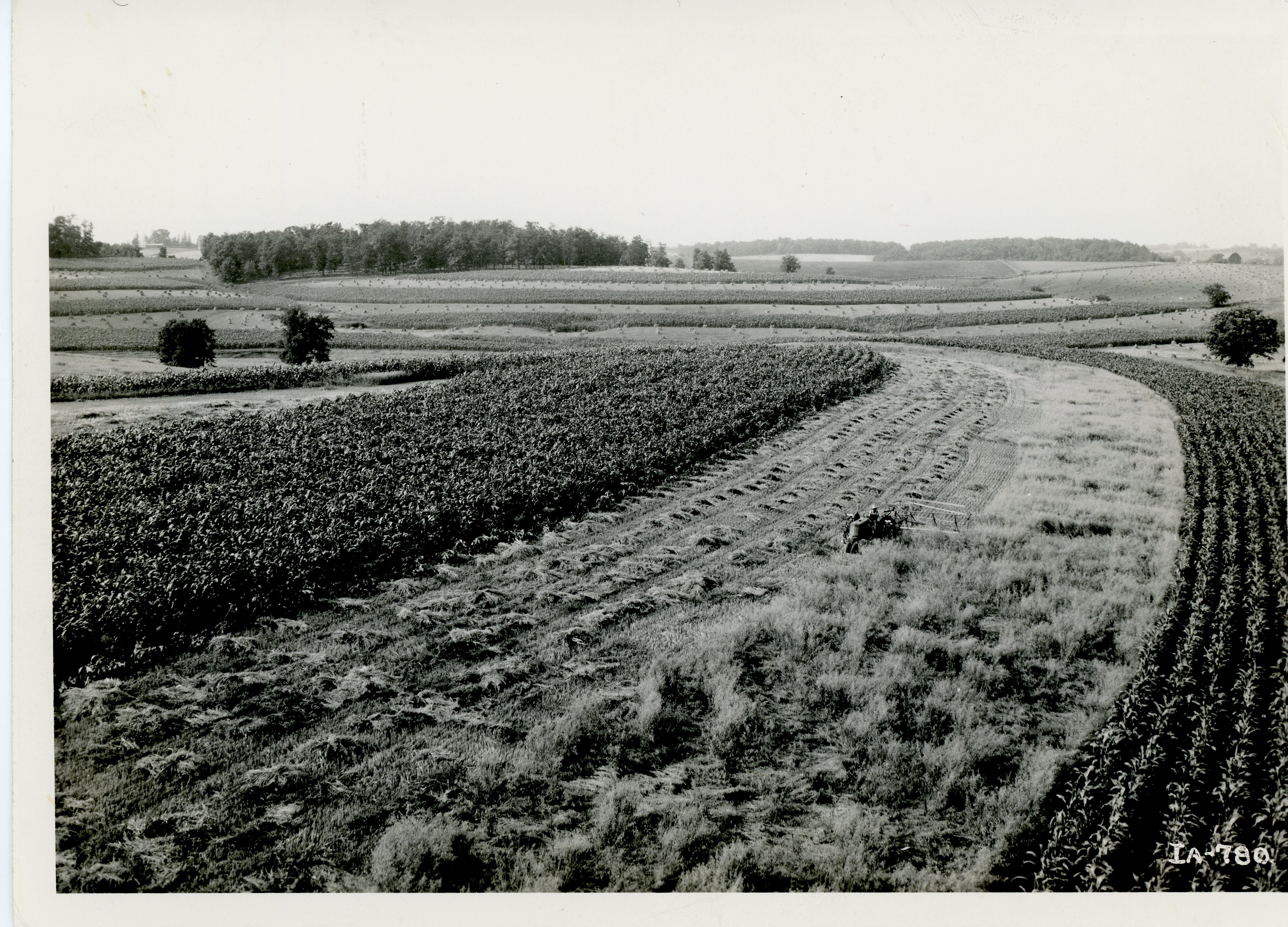 Farley Henkes farm, 1937
