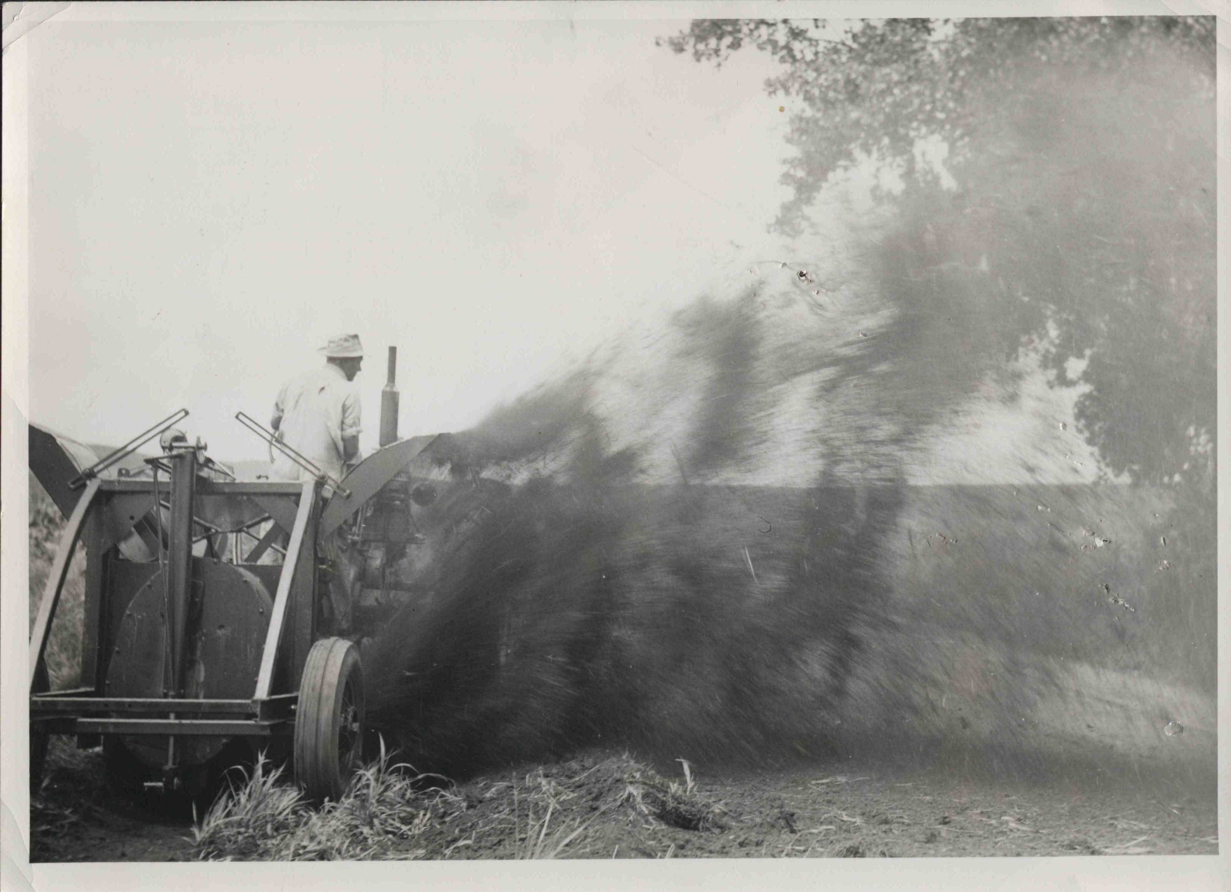 Man on truck Next to Cut Tree