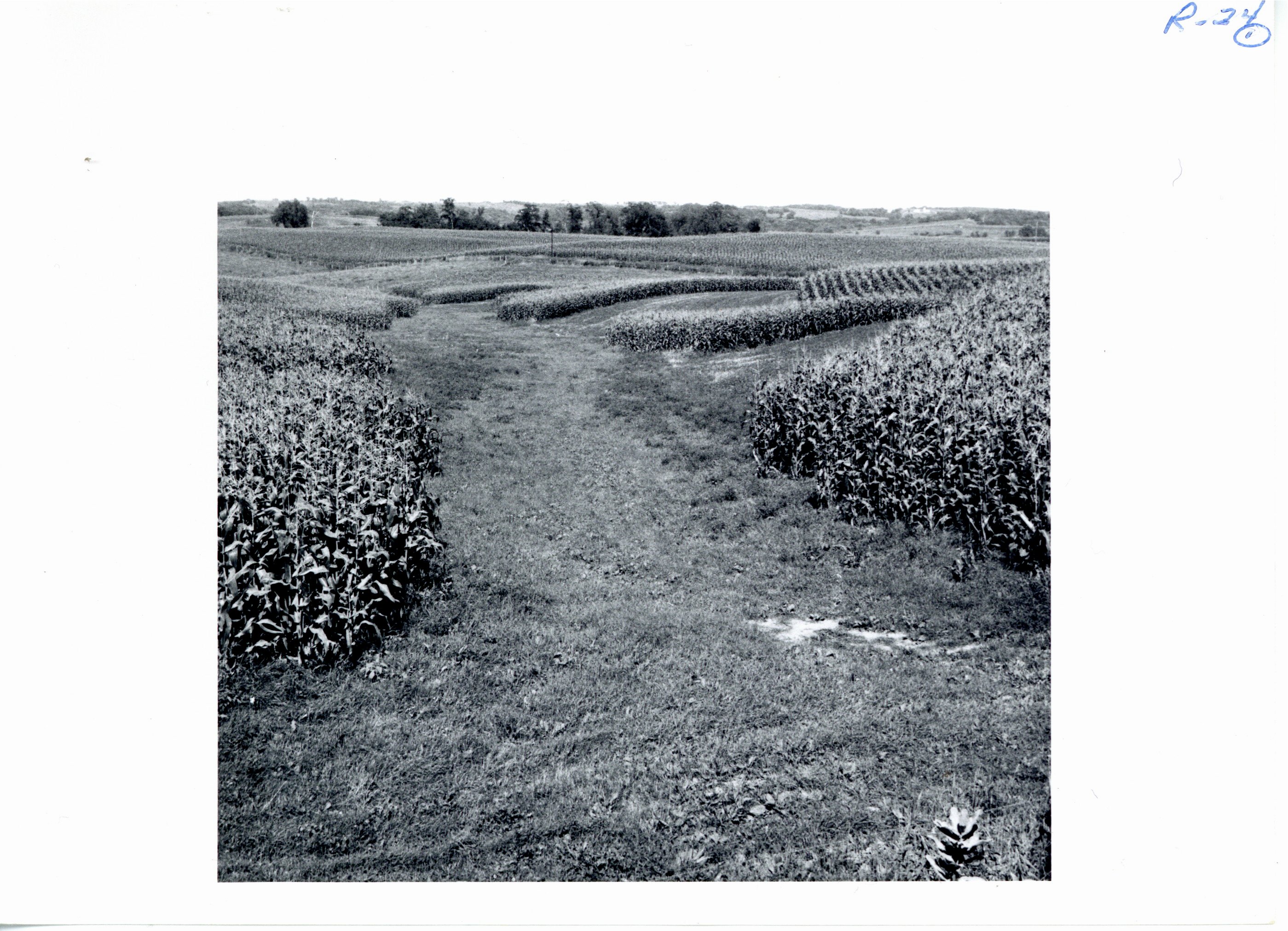 Good sod waterway for runoff, 1967