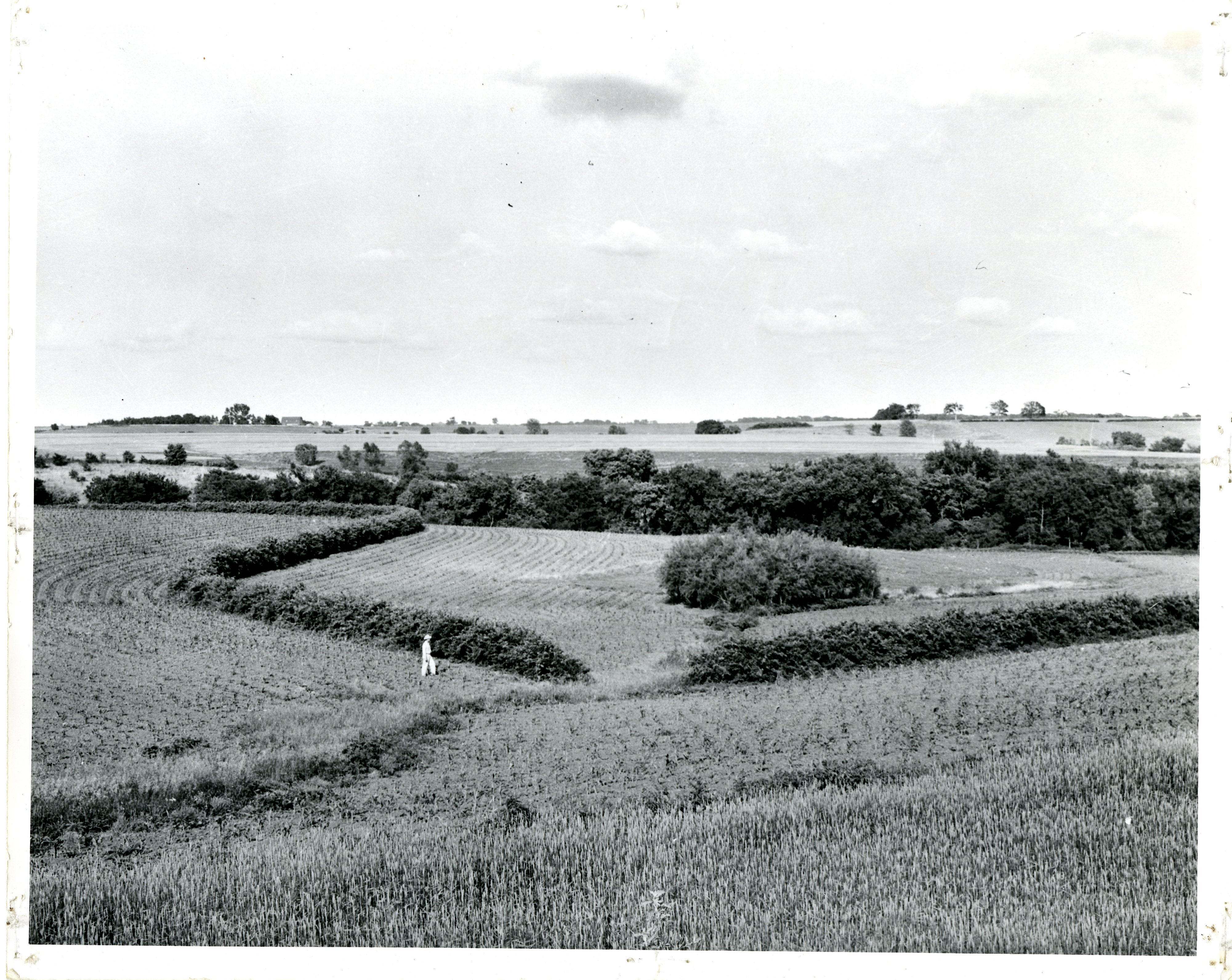 Conservation practices