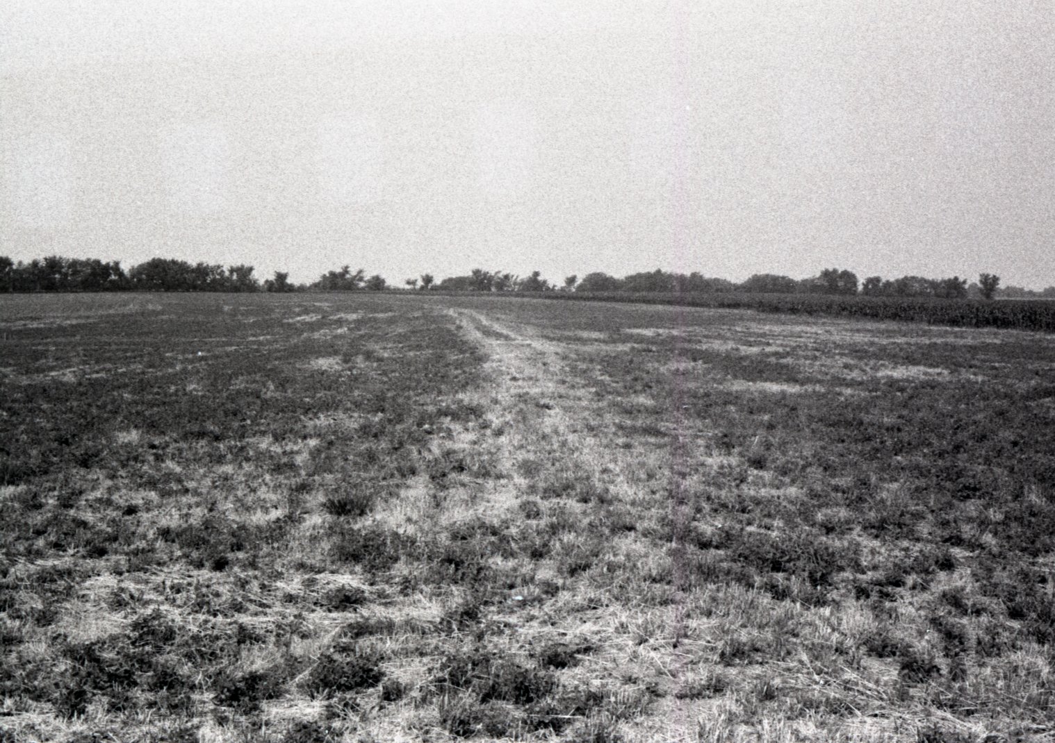 Photos of Pasture Land