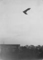 Delta Wing Photograph