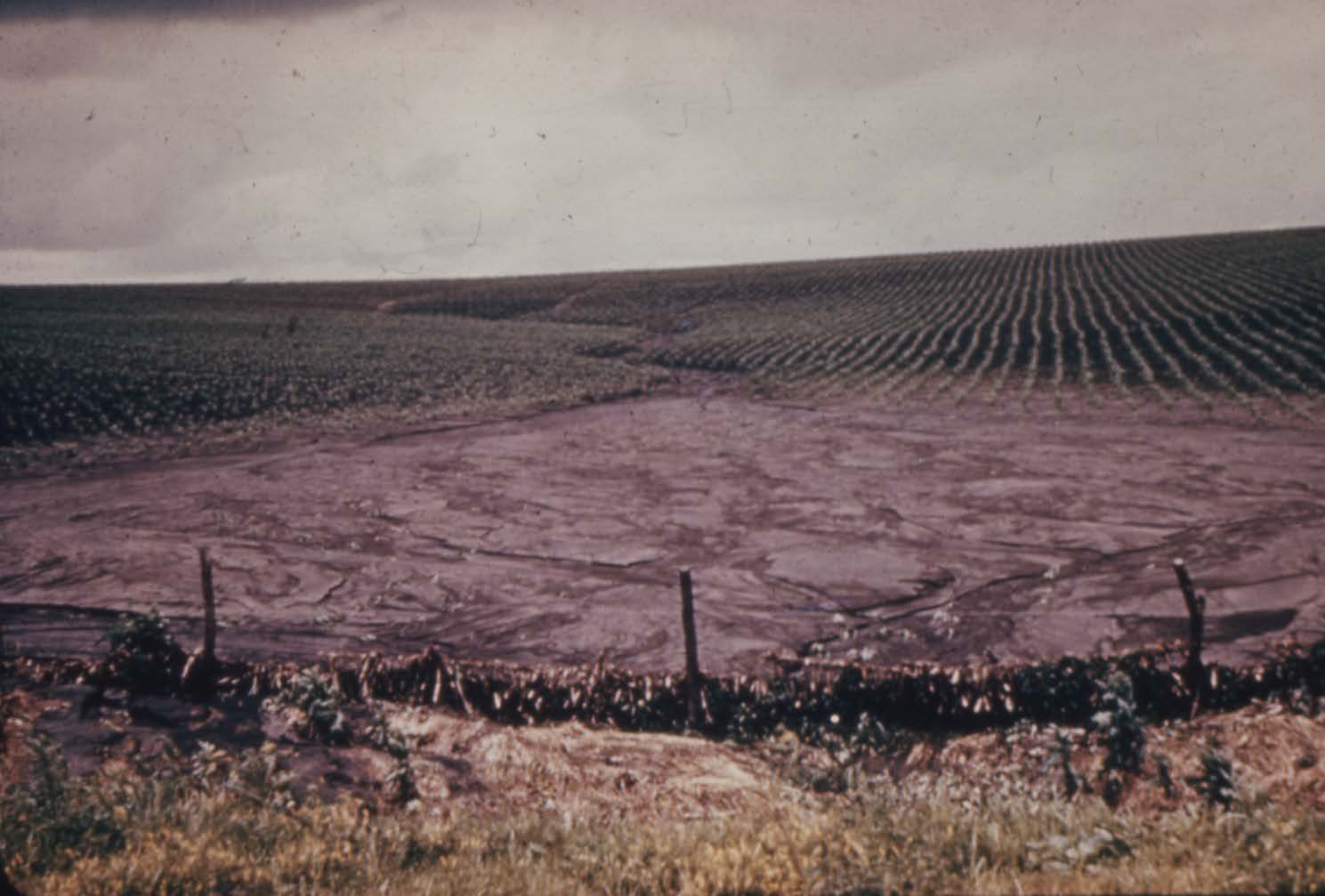 Silt