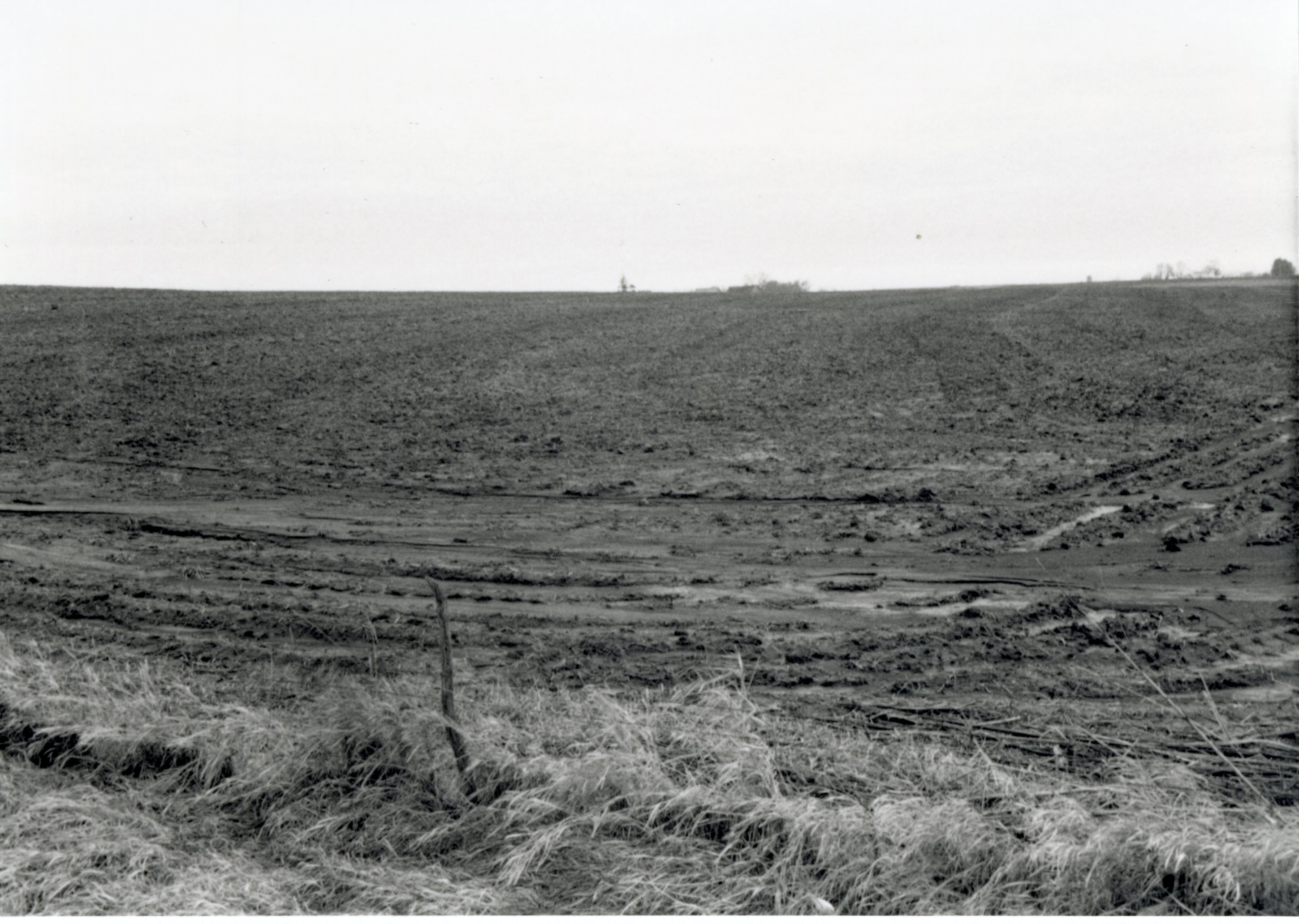 Muddy field