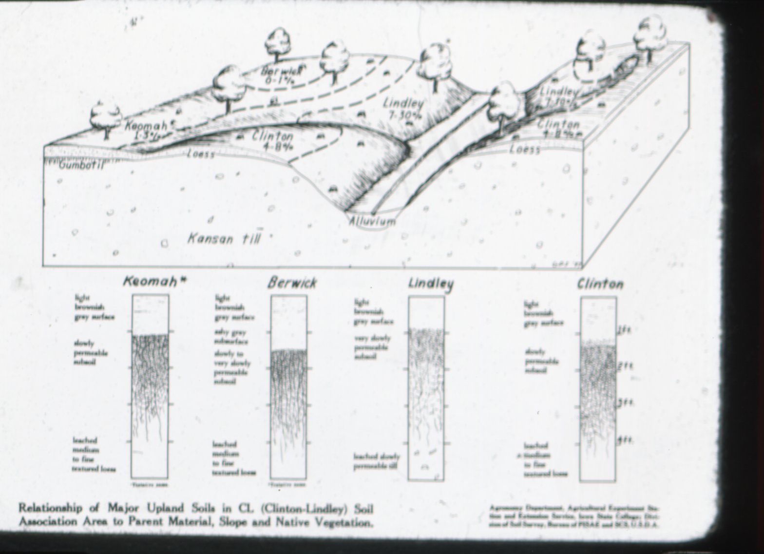 Upland Soil Chart